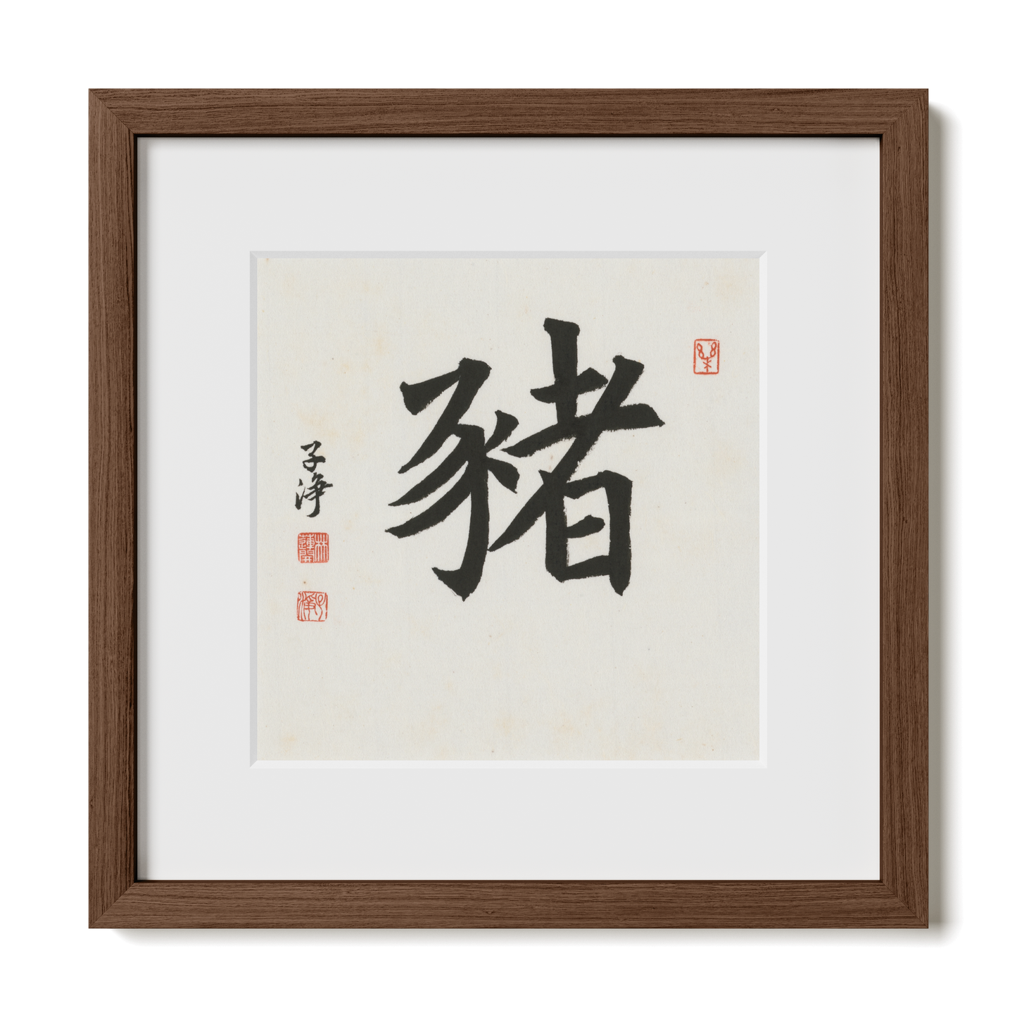 Thumbnail Label: 12X12" Walnut Premium Oak | Gallery Source: Transparent