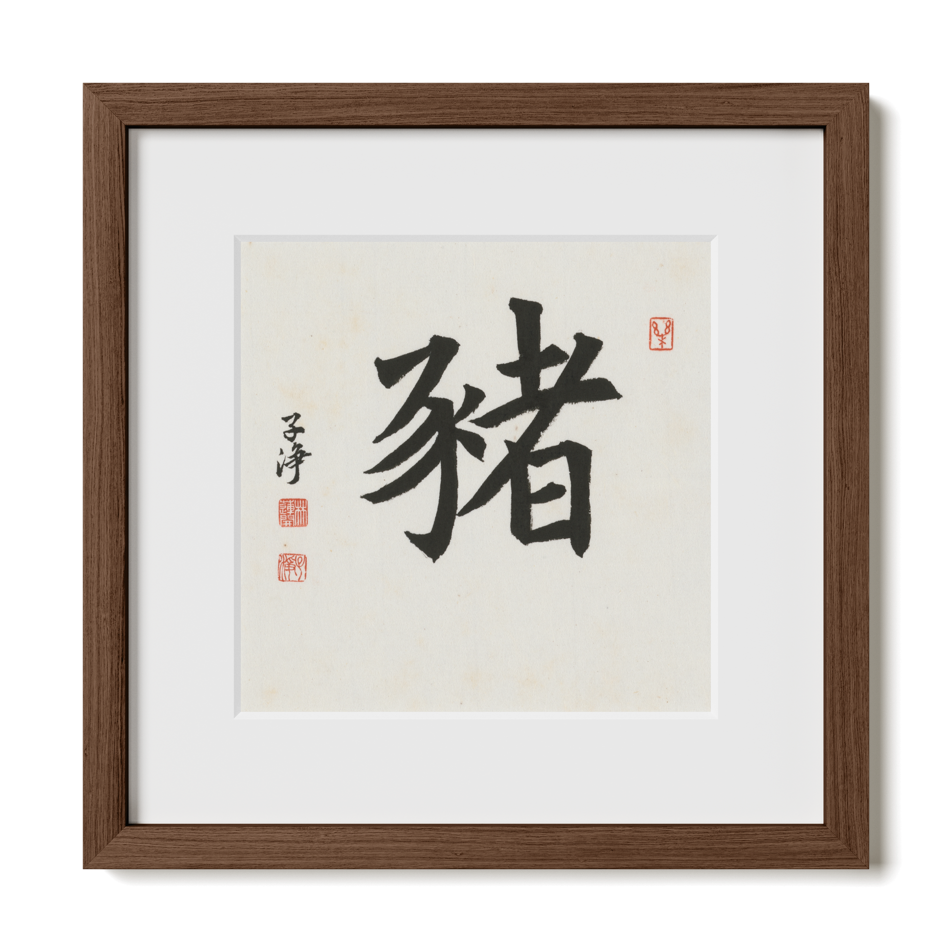 Thumbnail Label: 12X12" Walnut Premium Oak | Gallery Source: Transparent