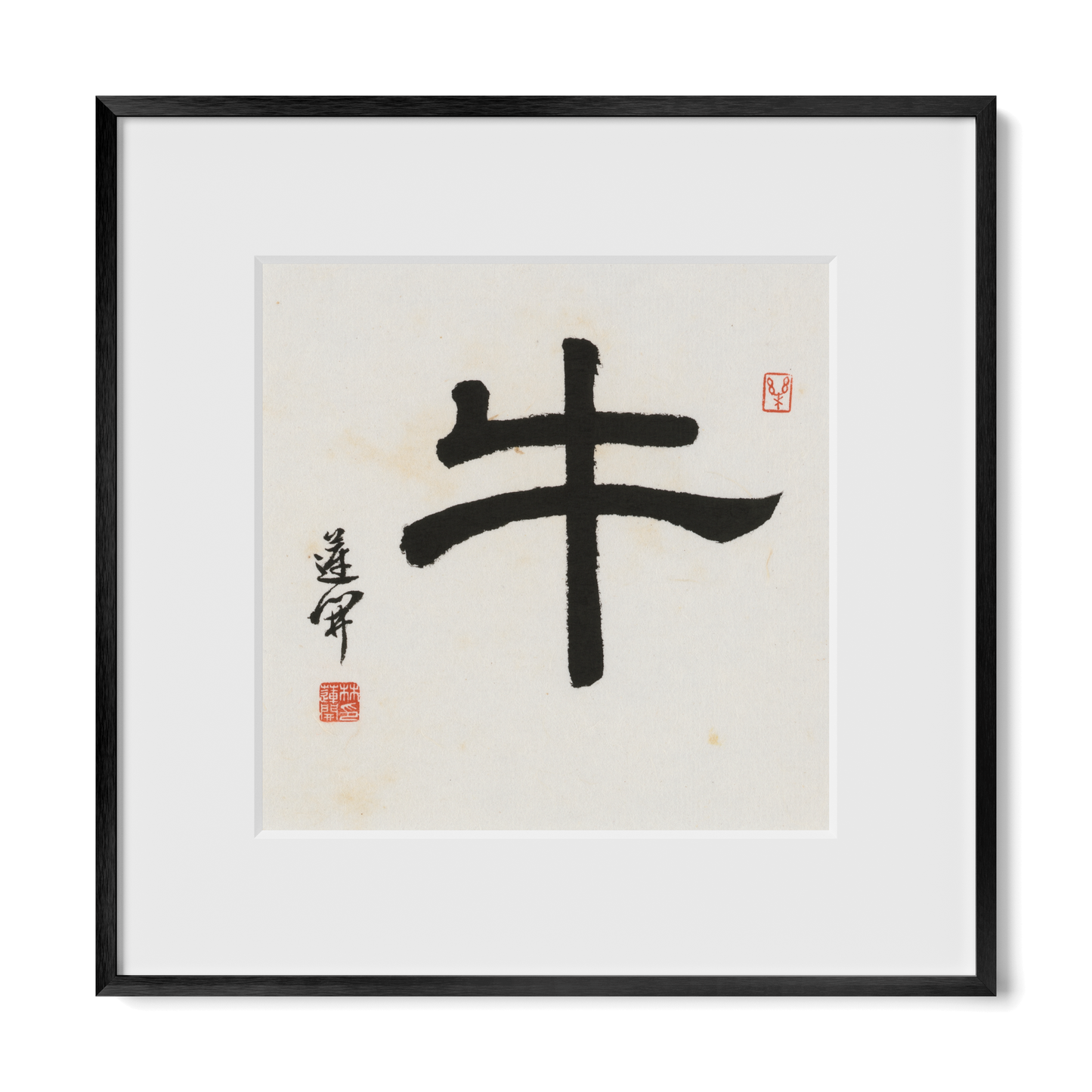 Thumbnail Label: 12X12" Black Premium Metal | Gallery Source: Transparent