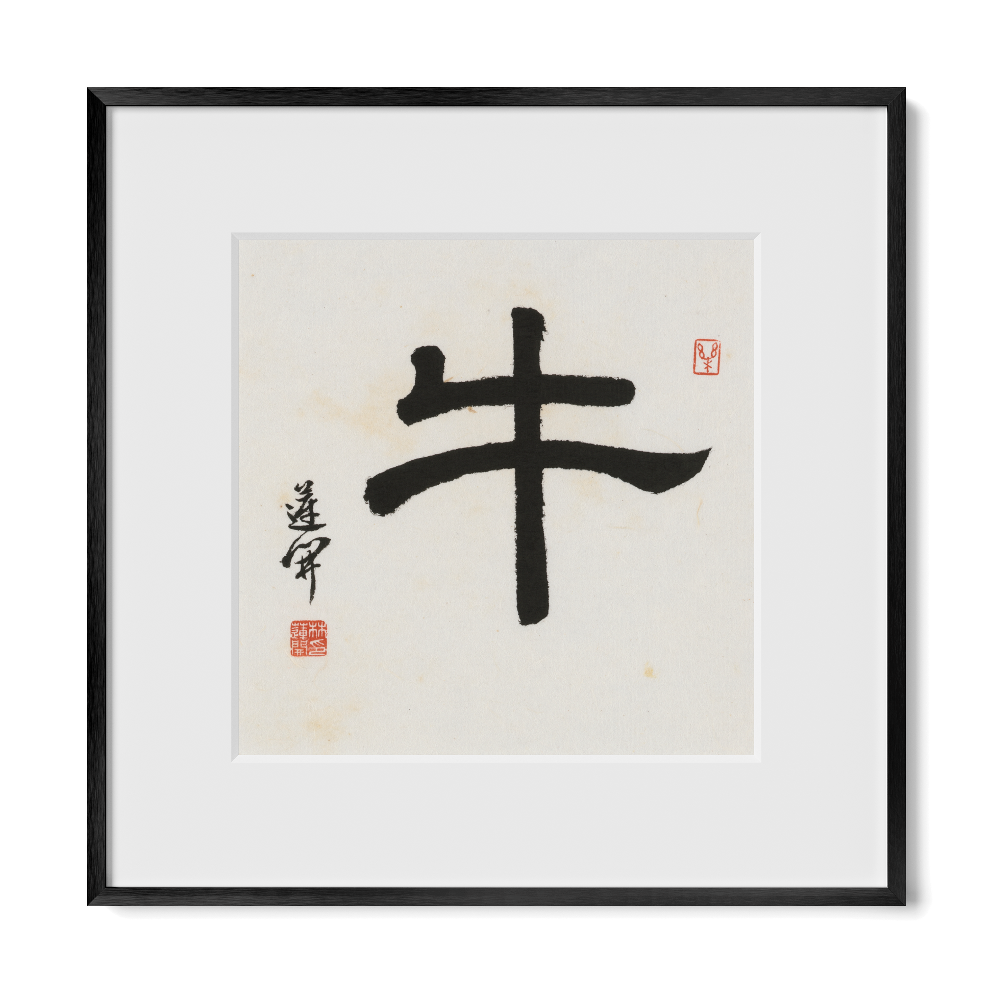 Thumbnail Label: 12X12" Black Premium Metal | Gallery Source: Transparent
