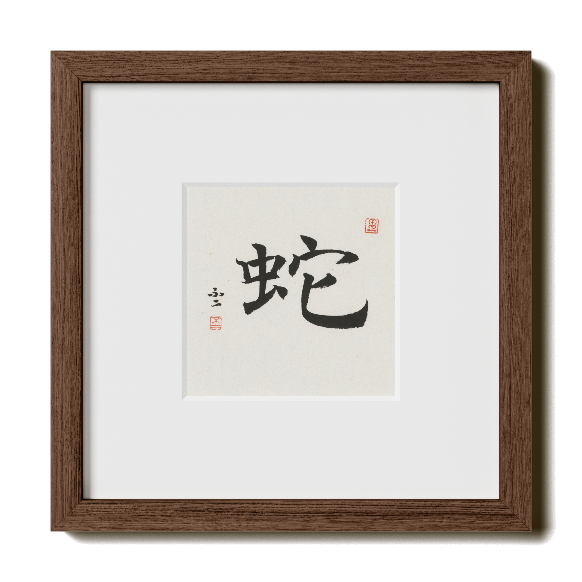 Thumbnail Label: 10X10" Walnut Premium Oak | Gallery Source: Transparent