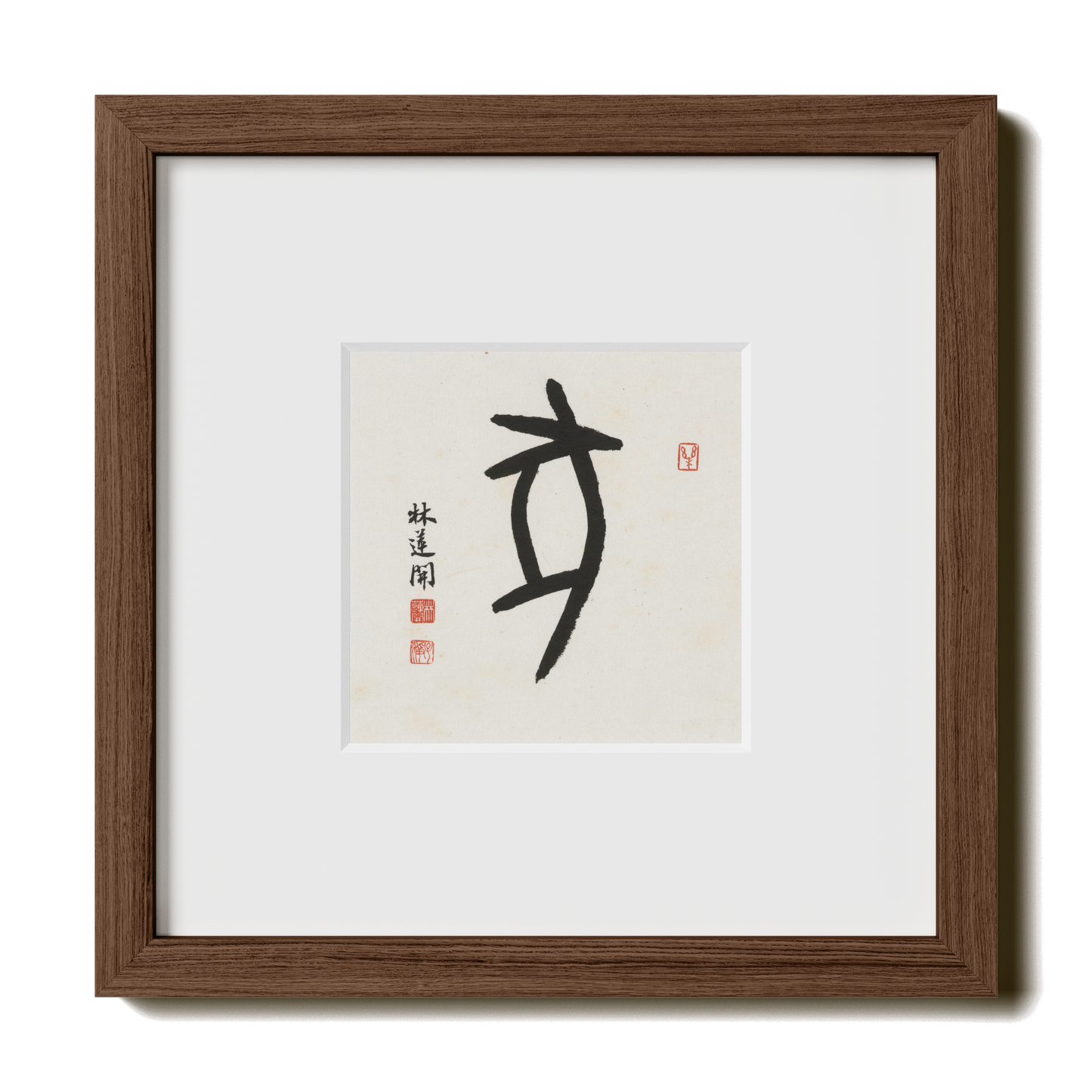 Thumbnail Label: 10X10" Walnut Premium Oak | Gallery Source: Transparent