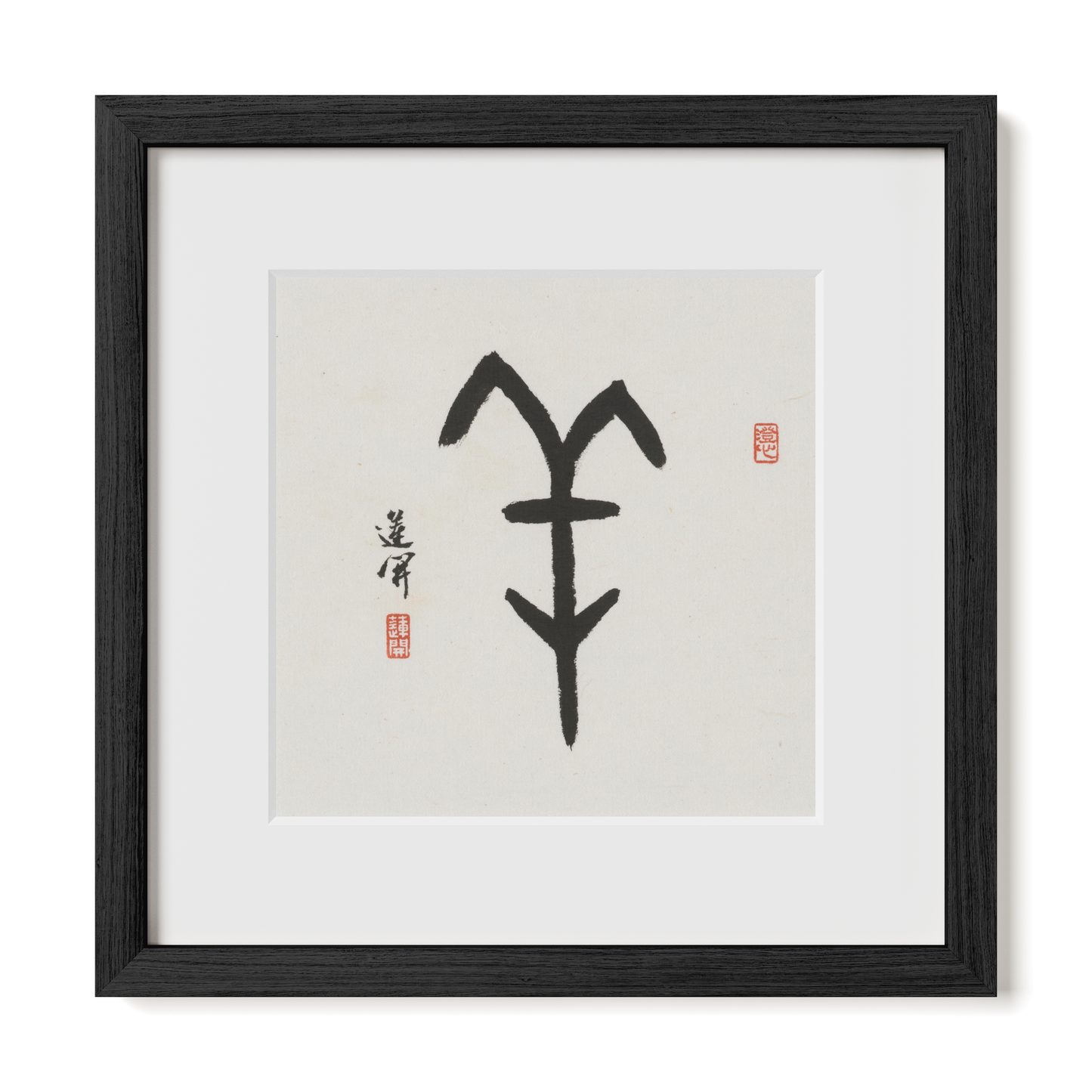 Thumbnail Label: 12X12" Black Premium Oak | Gallery Source: Transparent