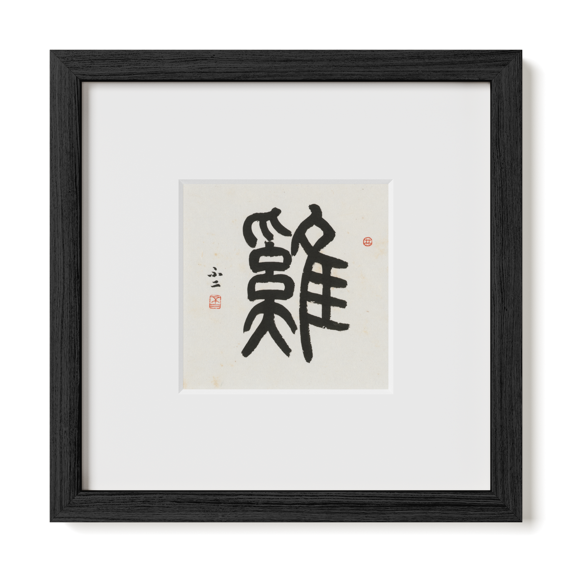 Thumbnail Label: 10X10" Black Premium Oak | Gallery Source: Transparent