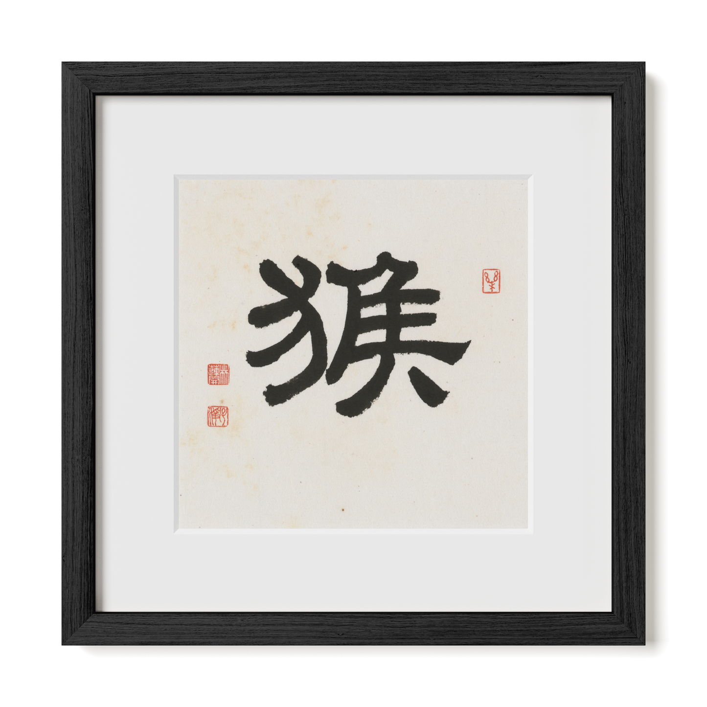 Thumbnail Label: 12X12" Black Premium Oak | Gallery Source: Transparent