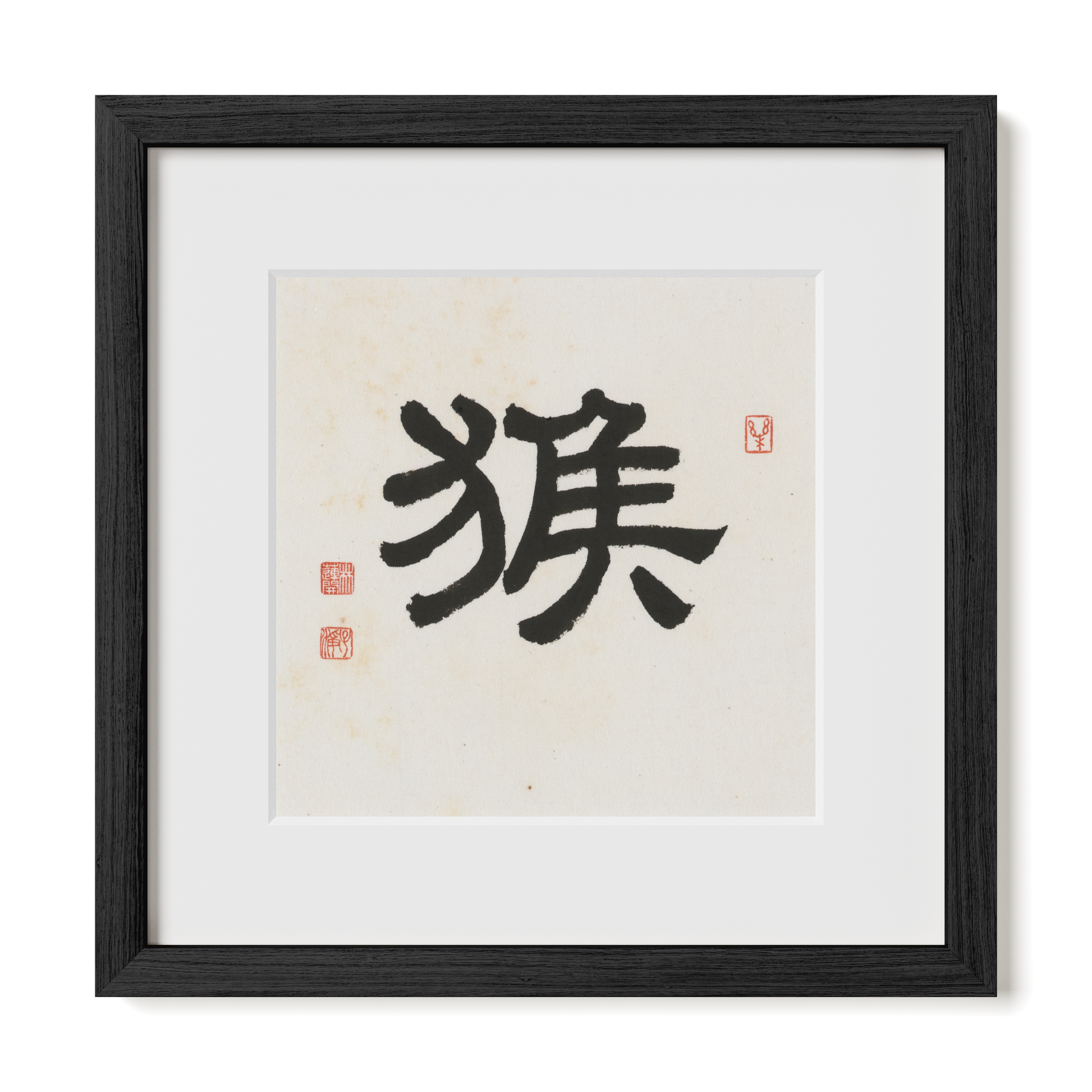 Thumbnail Label: 12X12" Black Premium Oak | Gallery Source: Transparent