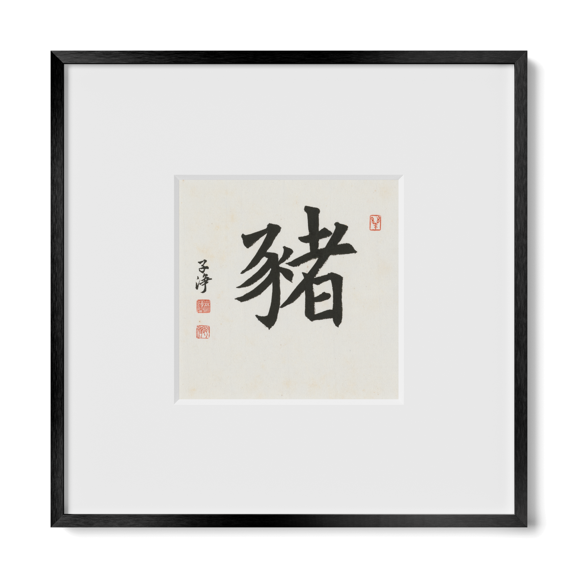 Thumbnail Label: 10X10" Black Premium Metal | Gallery Source: Transparent