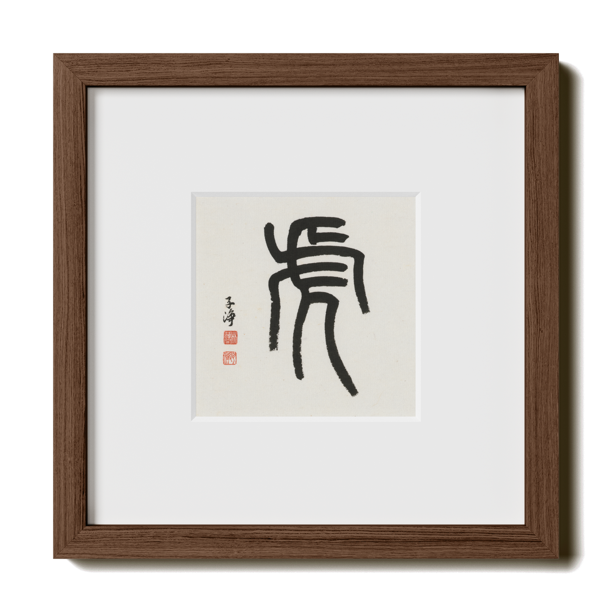 Thumbnail Label: 10X10" Walnut Premium Oak | Gallery Source: Transparent