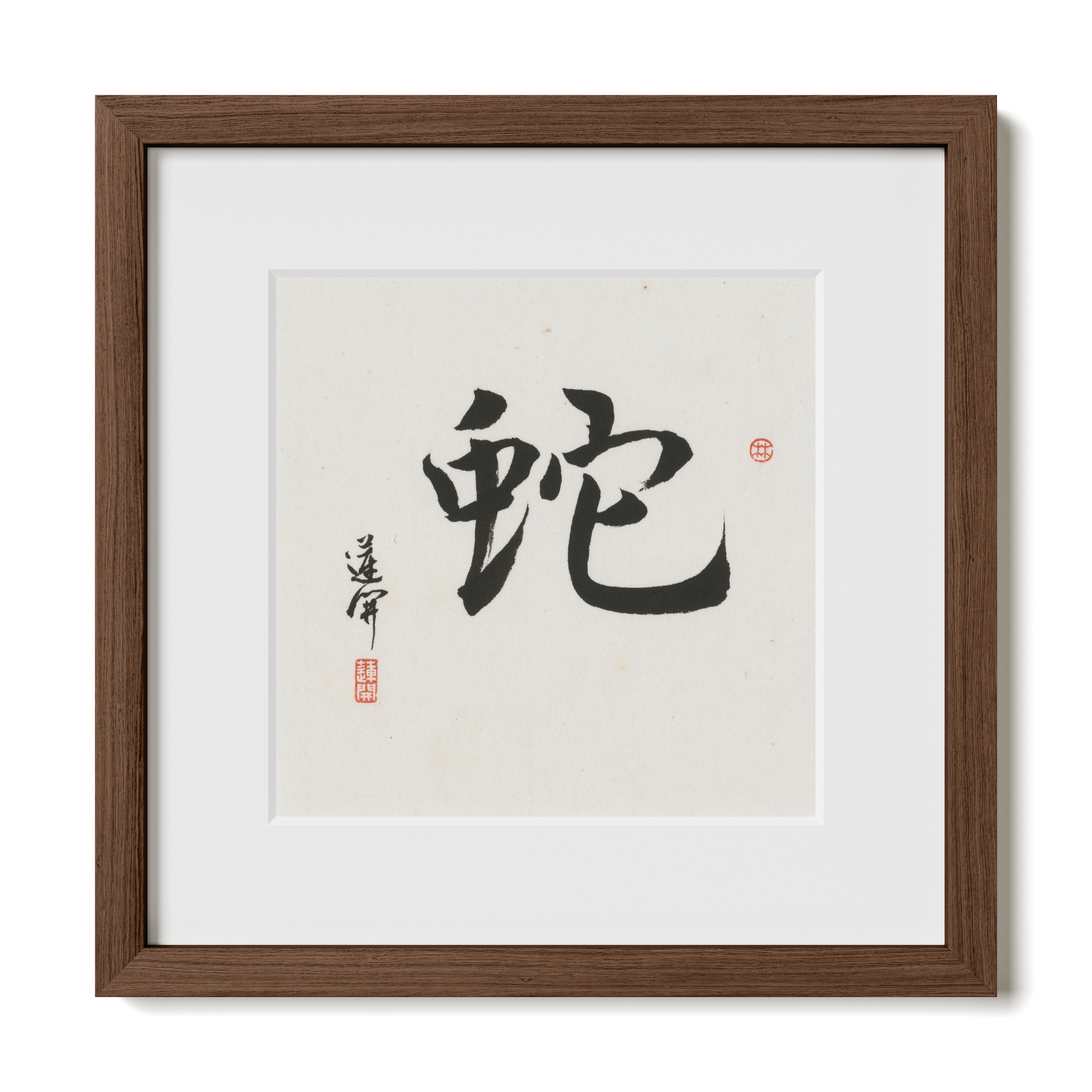 Thumbnail Label: 12X12" Walnut Premium Oak | Gallery Source: Transparent