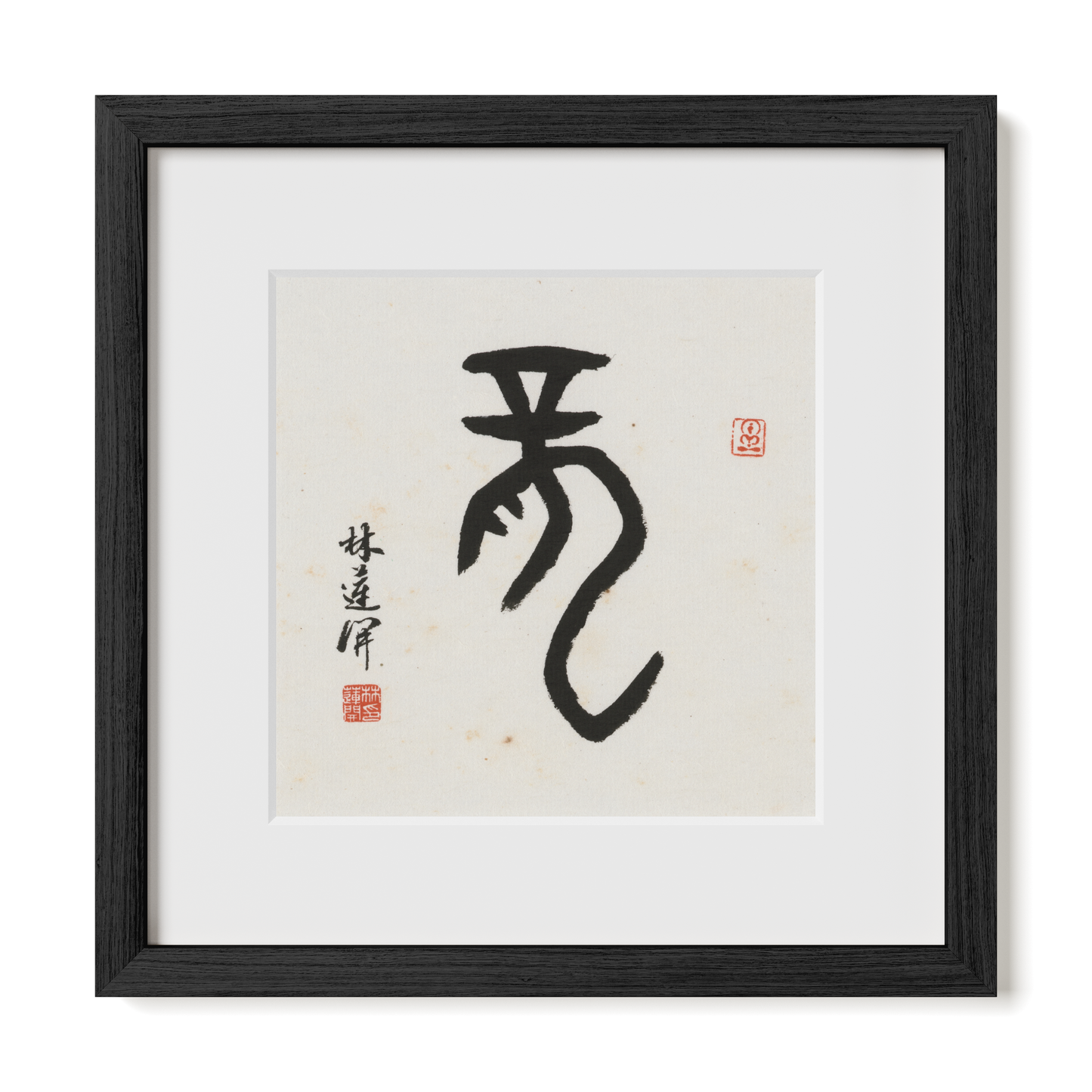 Thumbnail Label: 12X12" Black Premium Oak | Gallery Source: Transparent