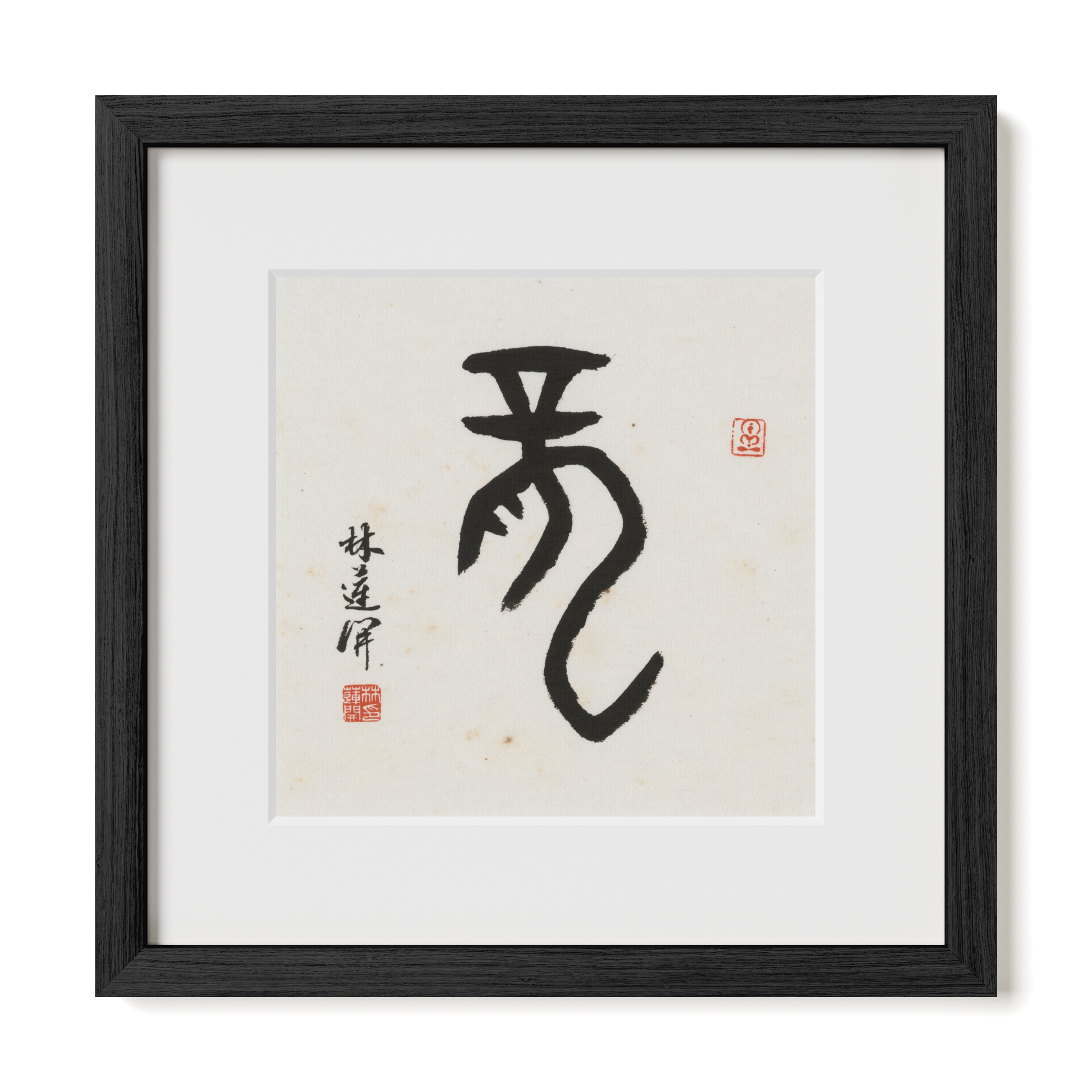 Thumbnail Label: 12X12" Black Premium Oak | Gallery Source: Transparent