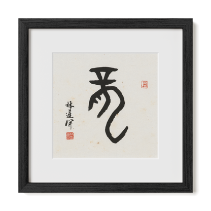Thumbnail Label: 12X12" Black Premium Oak | Gallery Source: Transparent