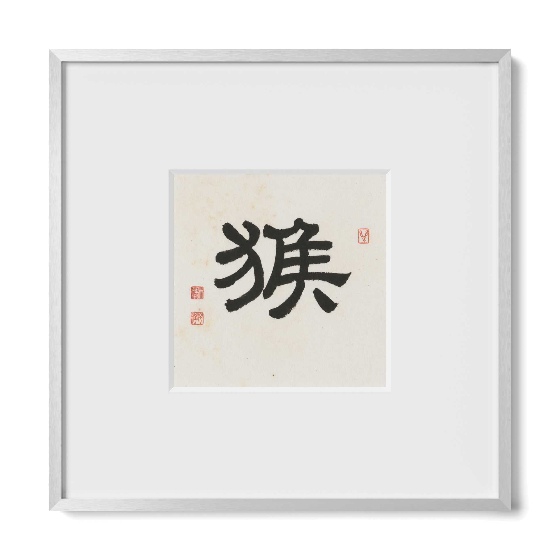 Thumbnail Label: 10X10" Silver Premium Metal | Gallery Source: Transparent