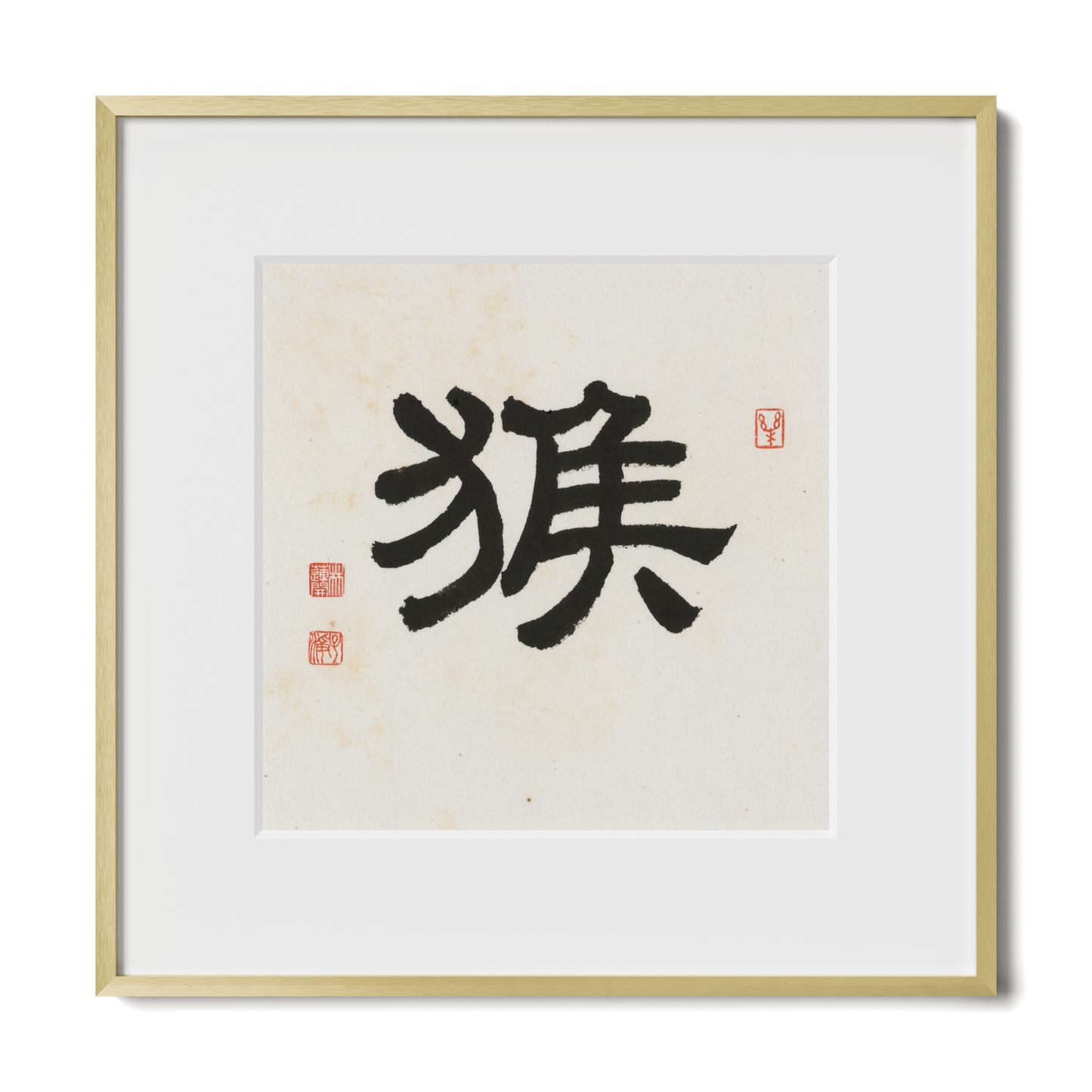 Thumbnail Label: 12X12" Gold Premium Metal | Gallery Source: Transparent