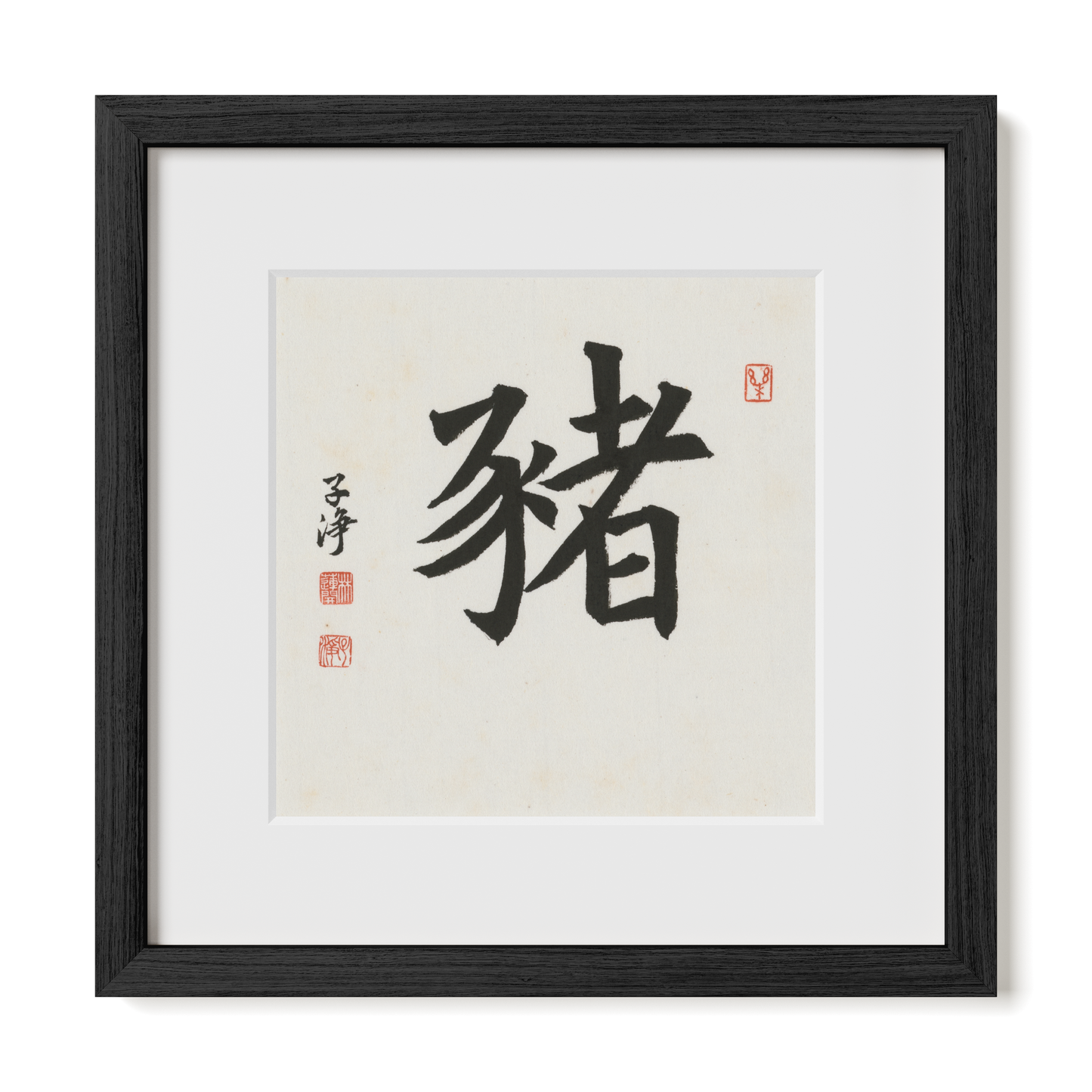 Thumbnail Label: 12X12" Black Premium Oak | Gallery Source: Transparent