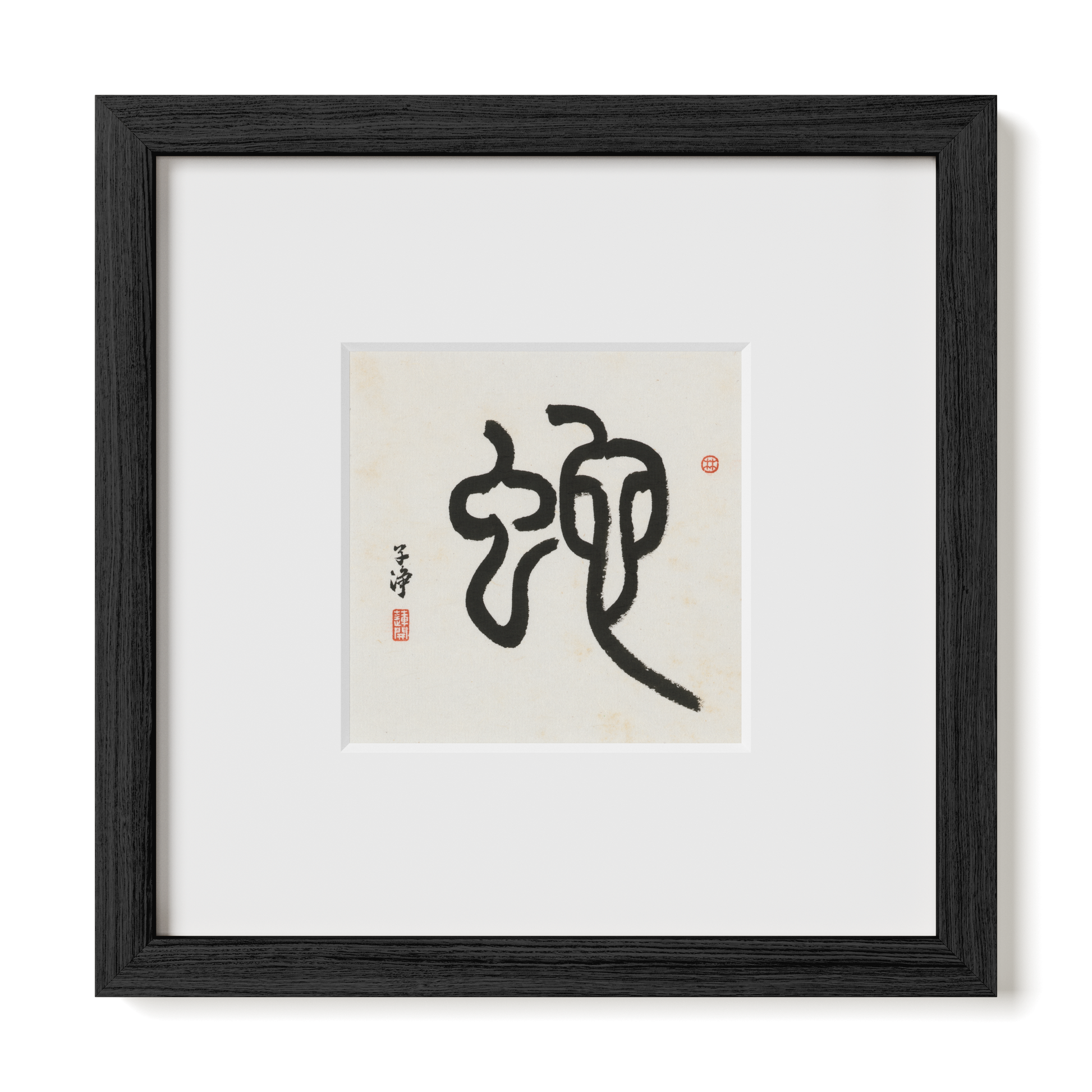 Thumbnail Label: 10X10" Black Premium Oak | Gallery Source: Transparent