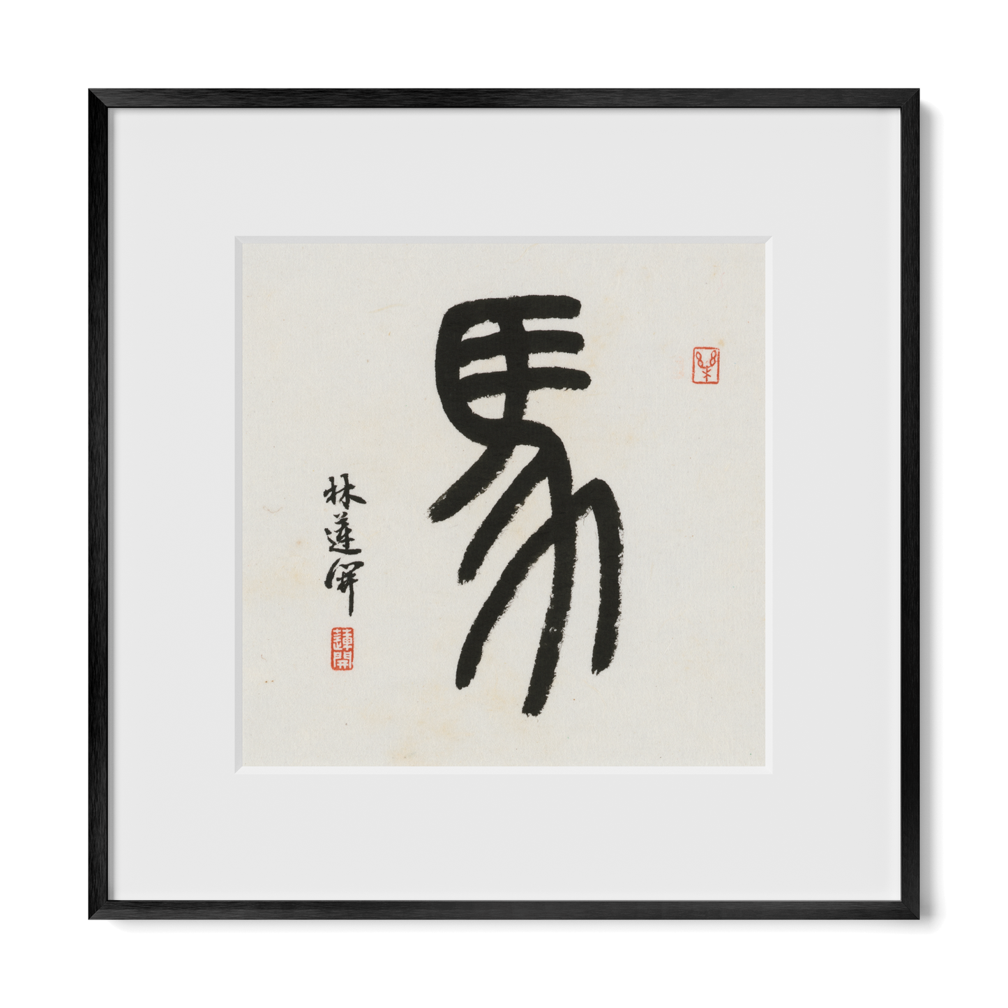Thumbnail Label: 12X12" Black Premium Metal | Gallery Source: Transparent