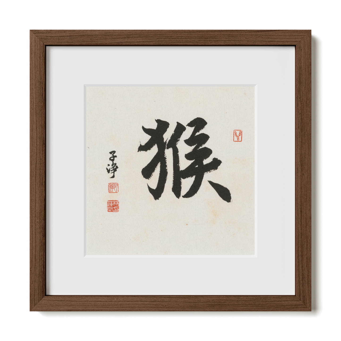 Thumbnail Label: 12X12" Walnut Premium Oak | Gallery Source: Transparent
