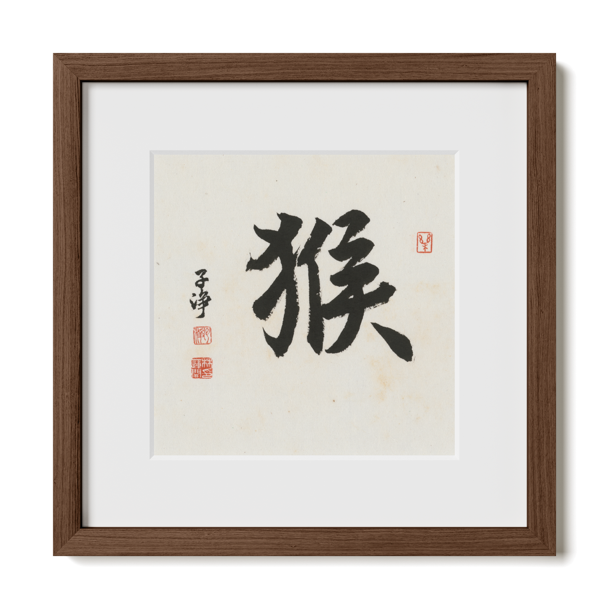 Thumbnail Label: 12X12" Walnut Premium Oak | Gallery Source: Transparent