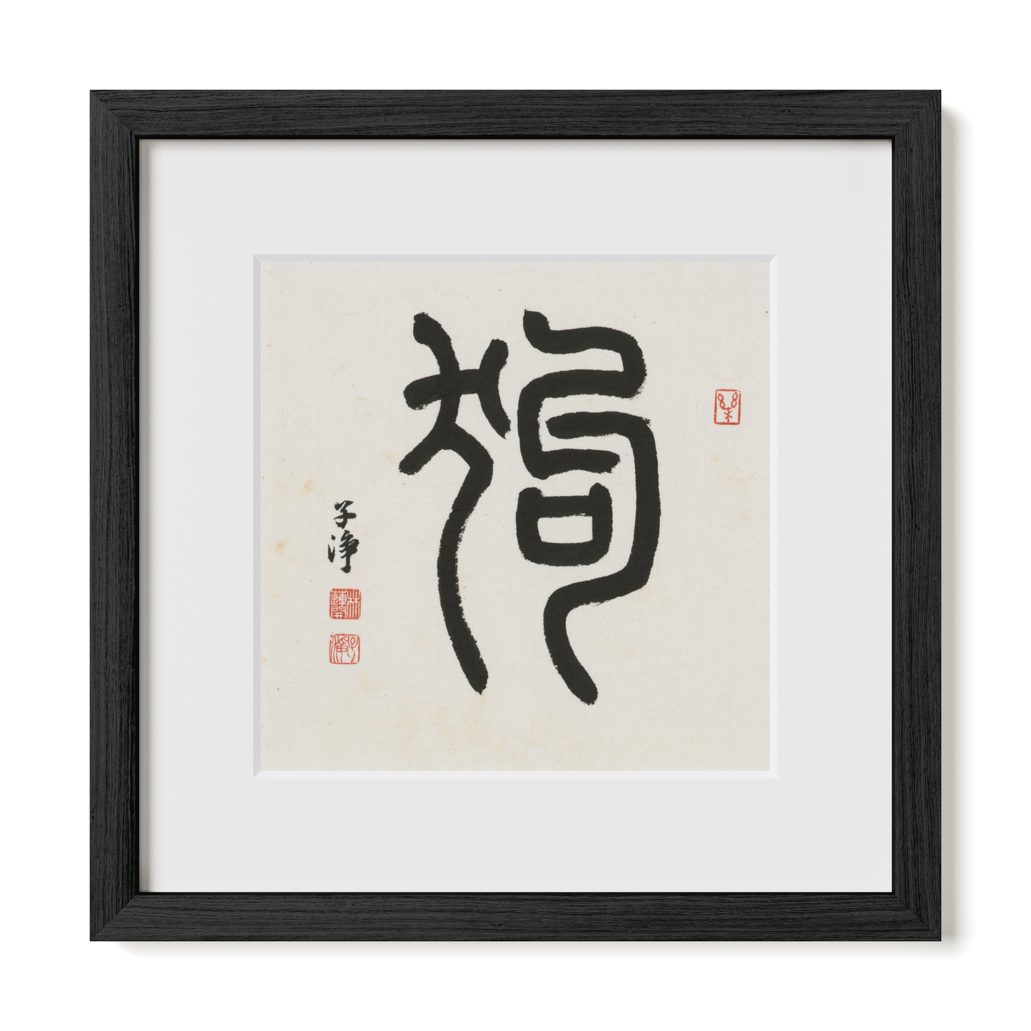 Thumbnail Label: 12X12" Black Premium Oak | Gallery Source: Transparent
