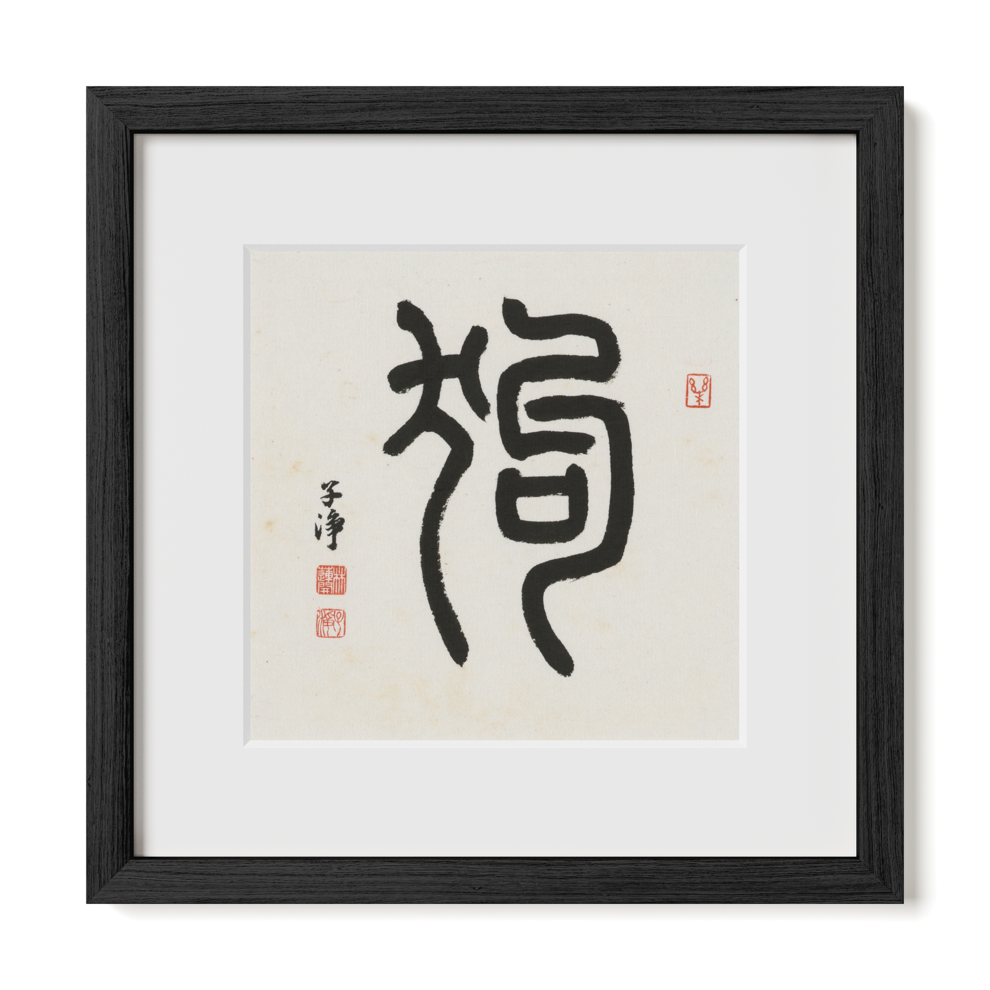 Thumbnail Label: 12X12" Black Premium Oak | Gallery Source: Transparent