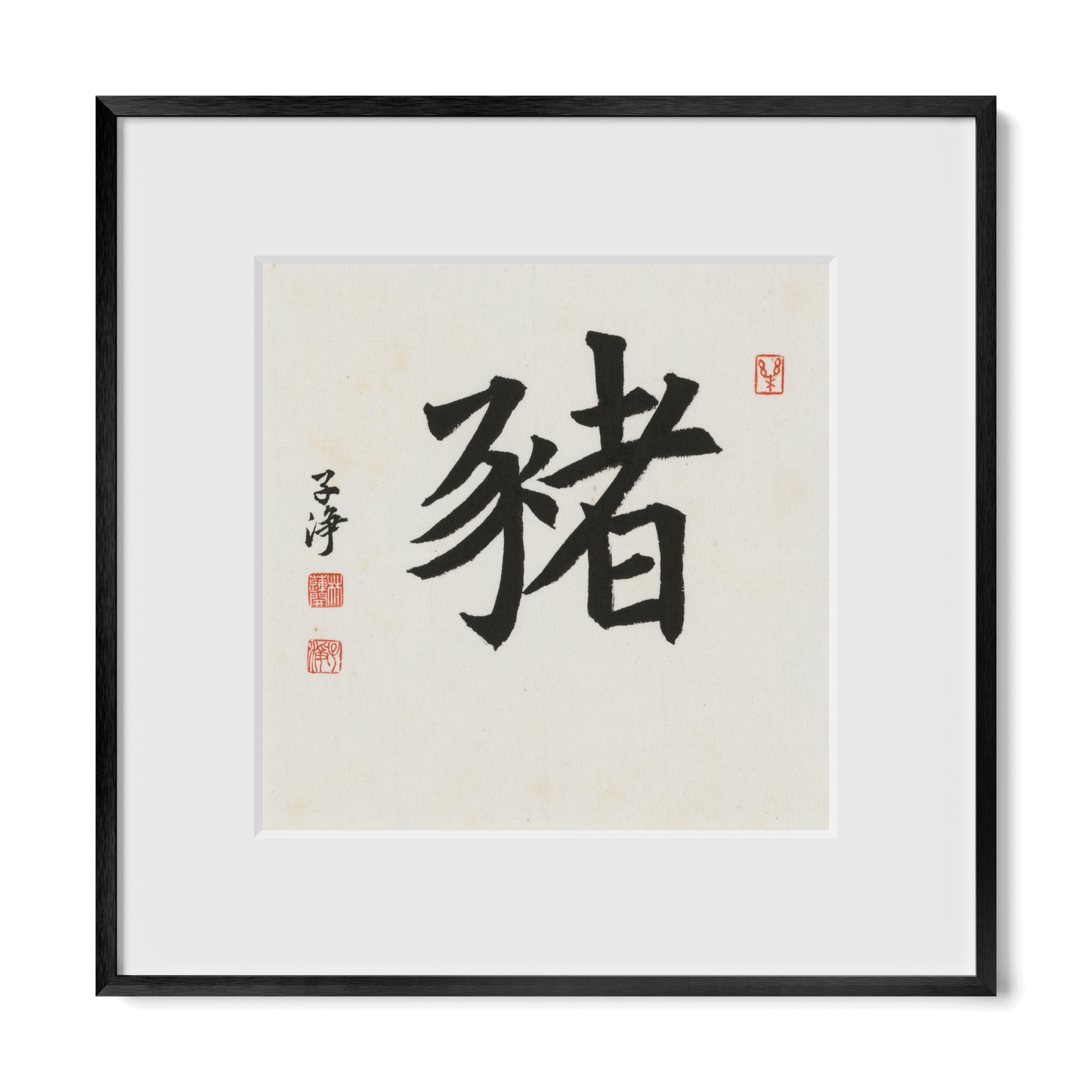 Thumbnail Label: 12X12" Black Premium Metal | Gallery Source: Transparent