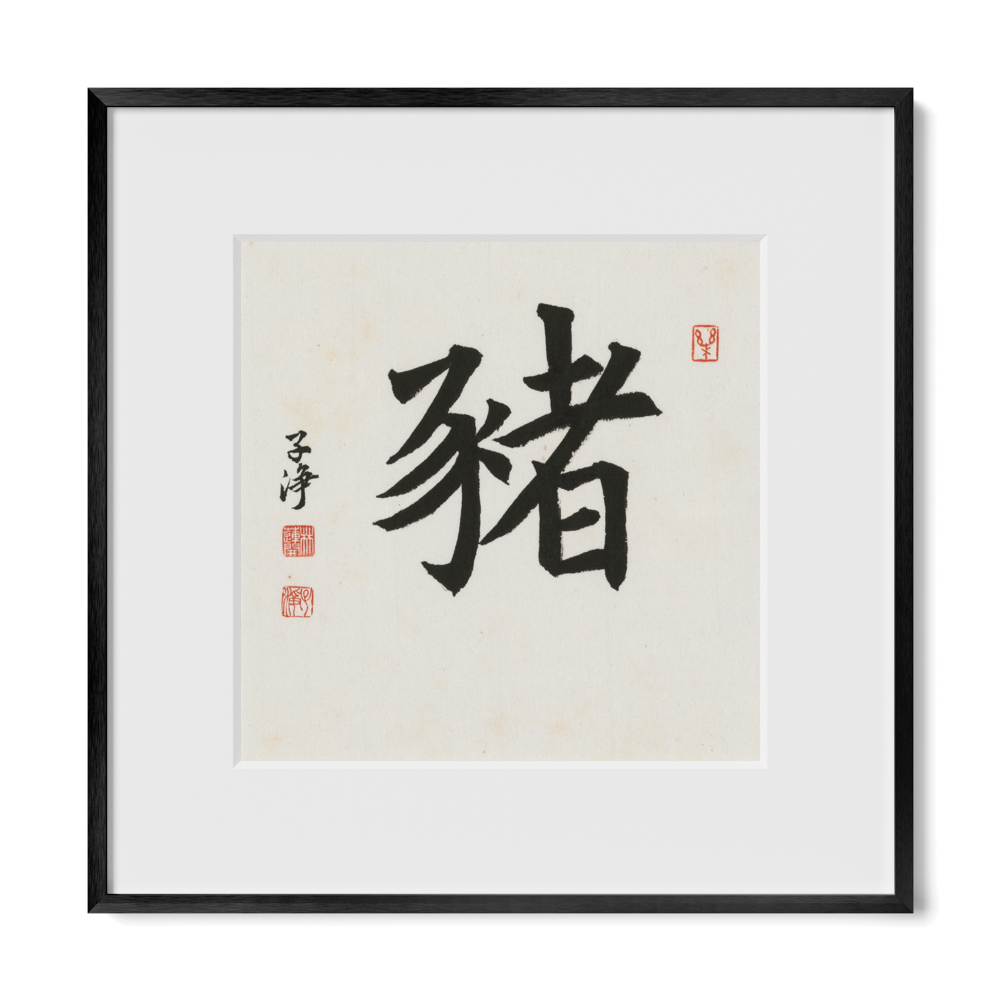 Thumbnail Label: 12X12" Black Premium Metal | Gallery Source: Transparent