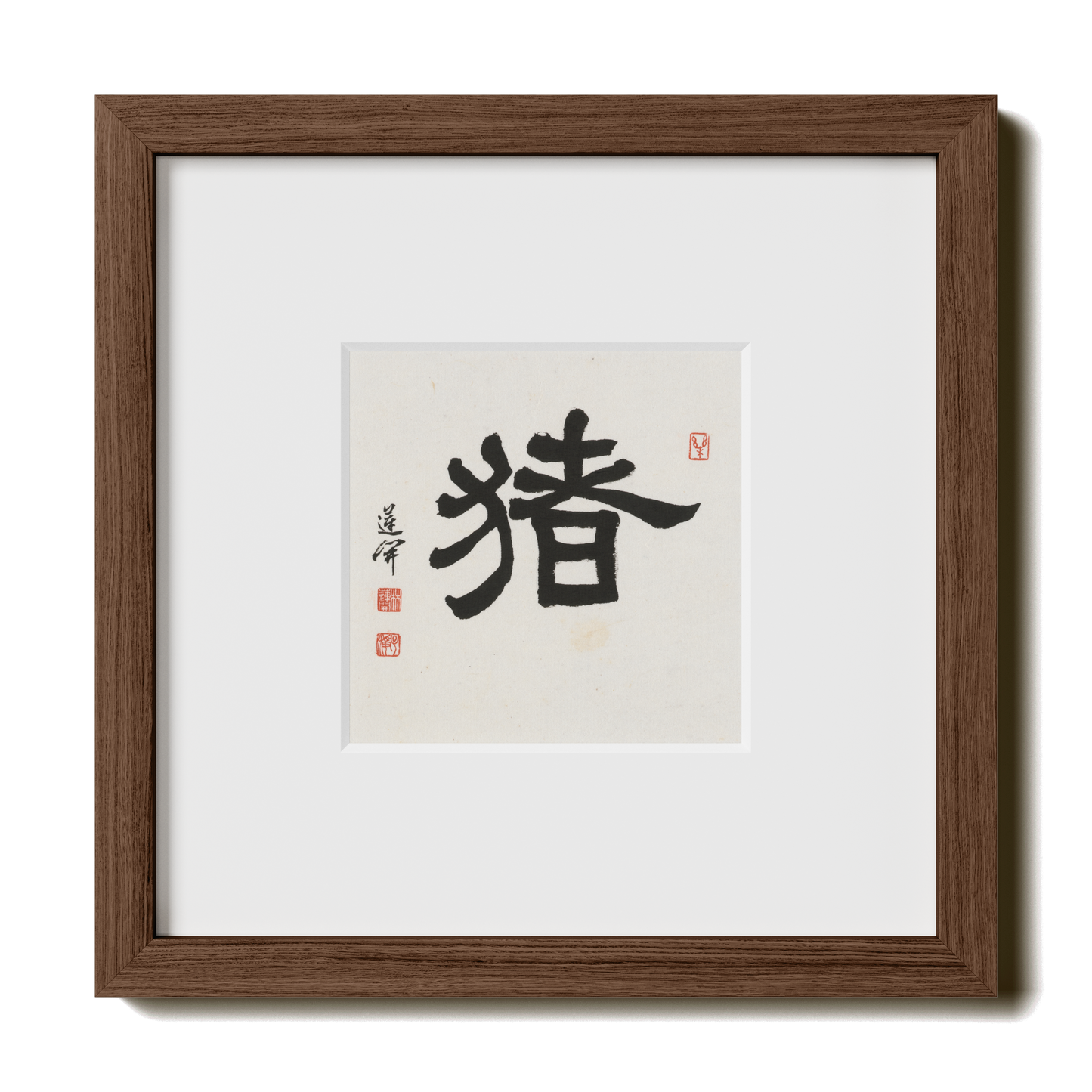 Thumbnail Label: 10X10" Walnut Premium Oak | Gallery Source: Transparent