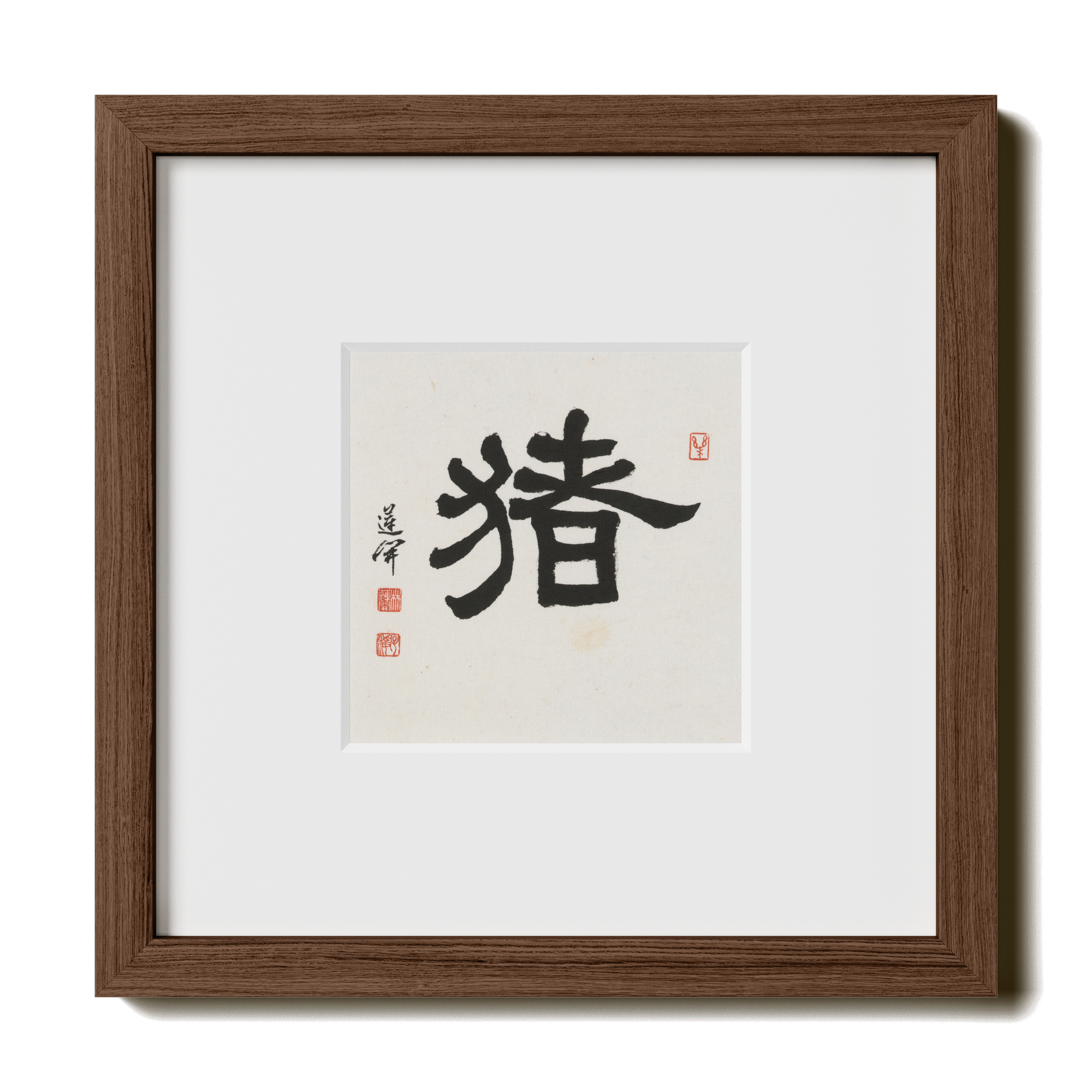 Thumbnail Label: 10X10" Walnut Premium Oak | Gallery Source: Transparent