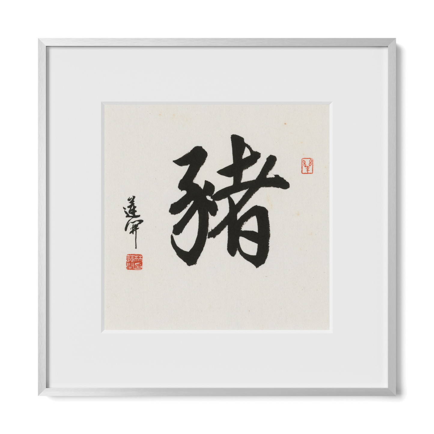Thumbnail Label: 12X12" Silver Premium Metal | Gallery Source: Transparent