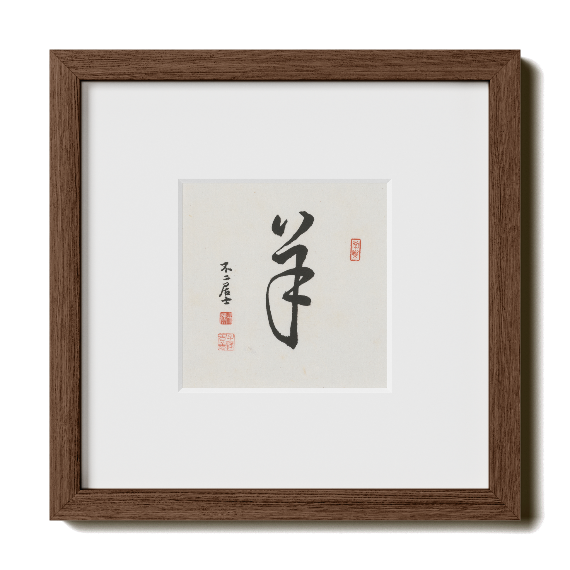 Thumbnail Label: 10X10" Walnut Premium Oak | Gallery Source: Transparent