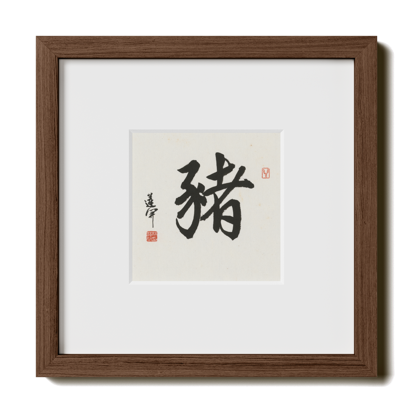 Thumbnail Label: 10X10" Walnut Premium Oak | Gallery Source: Transparent