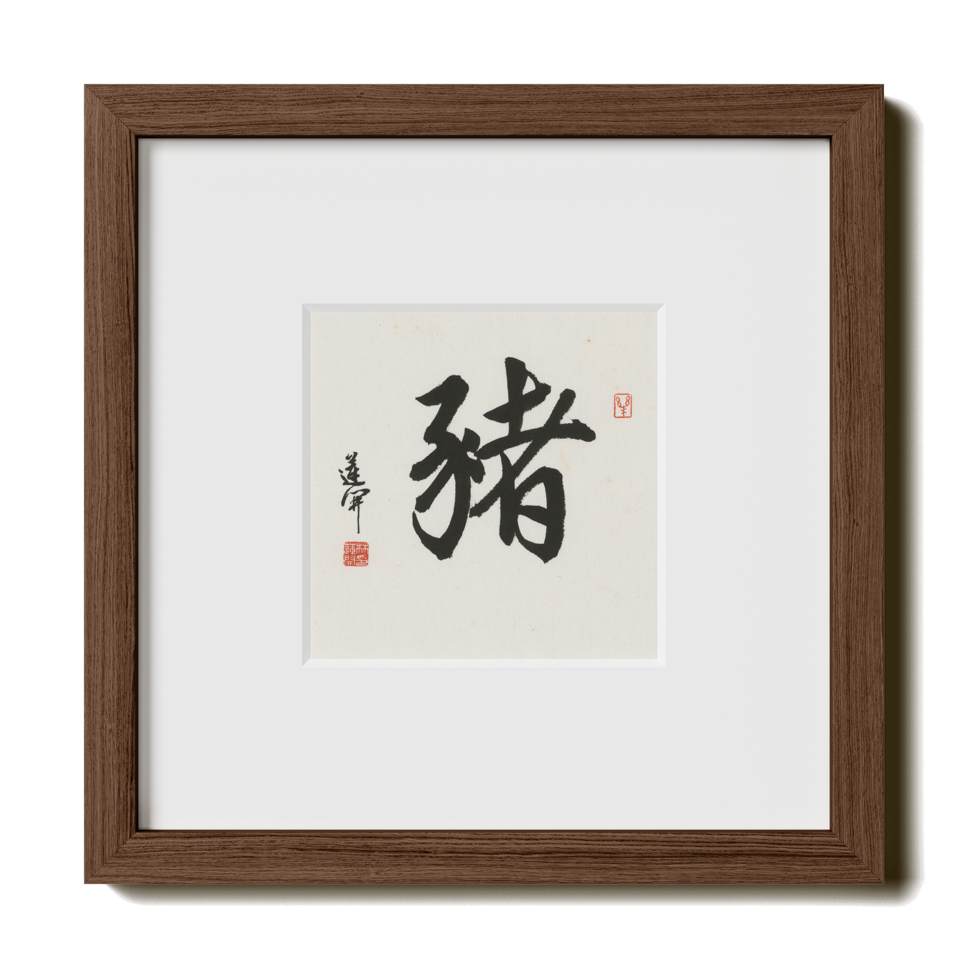 Thumbnail Label: 10X10" Walnut Premium Oak | Gallery Source: Transparent