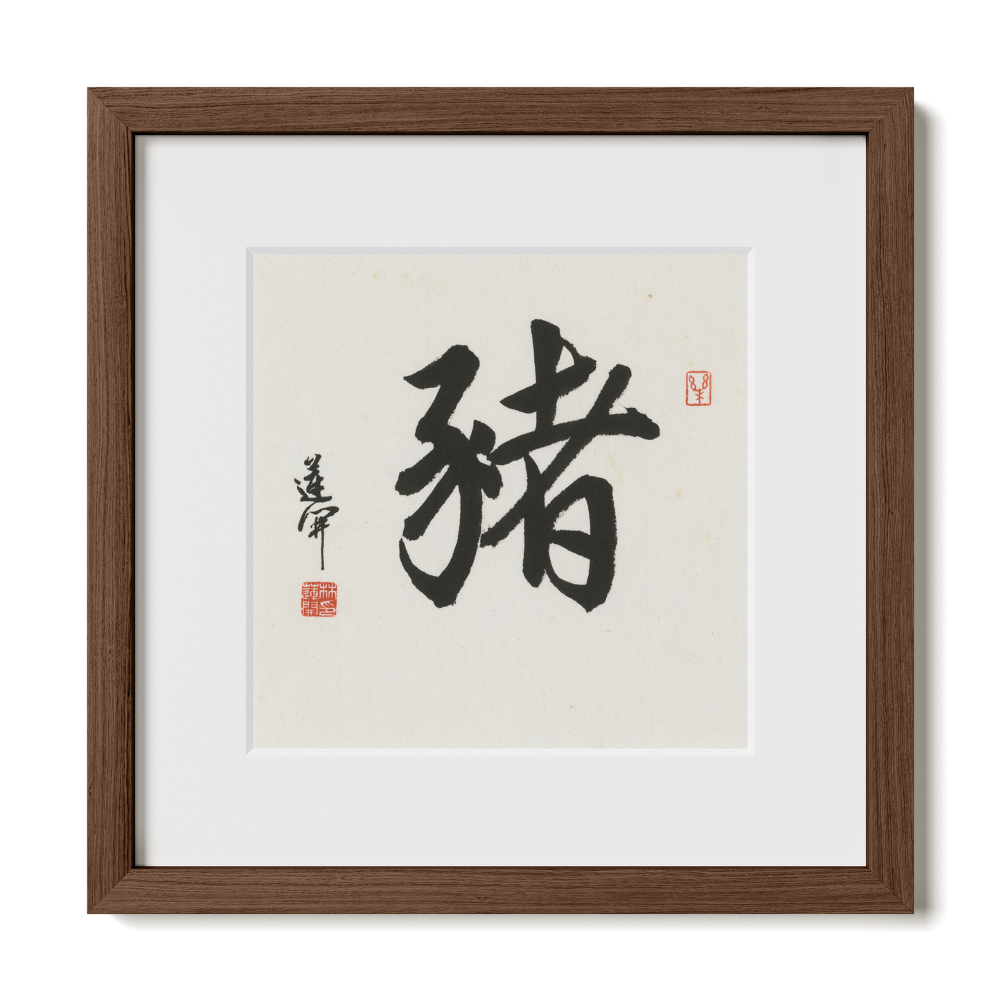 Thumbnail Label: 12X12" Walnut Premium Oak | Gallery Source: Transparent