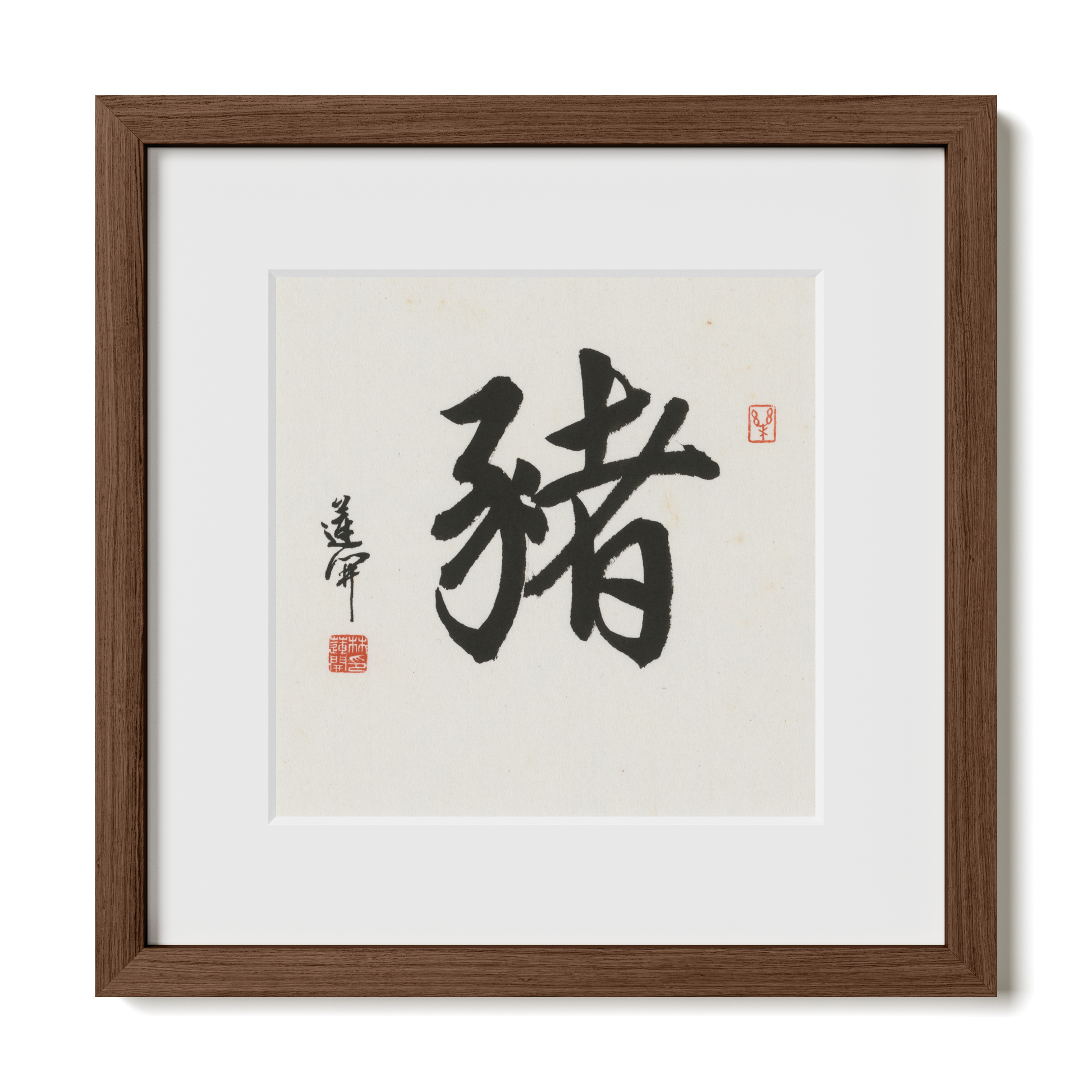 Thumbnail Label: 12X12" Walnut Premium Oak | Gallery Source: Transparent