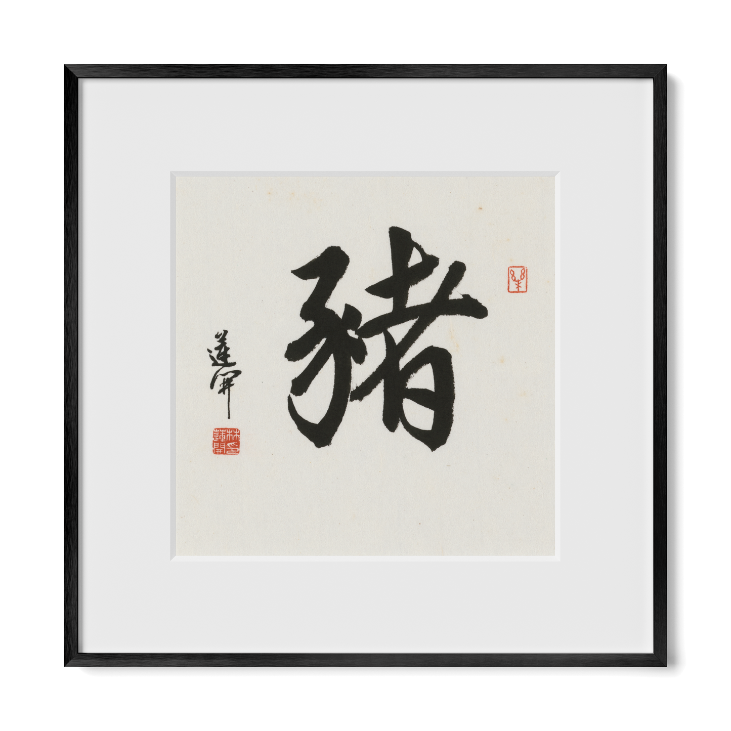 Thumbnail Label: 12X12" Black Premium Metal | Gallery Source: Transparent