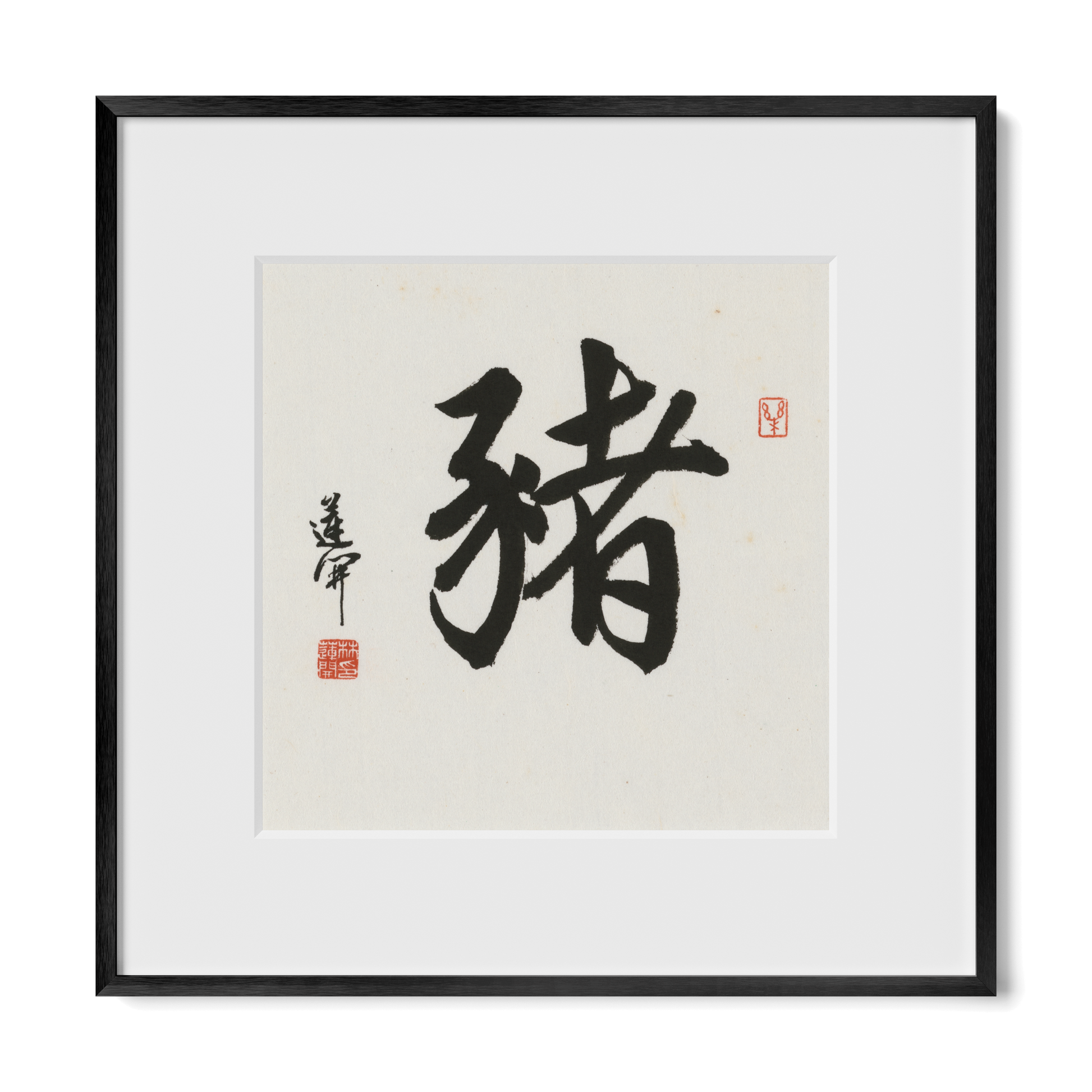 Thumbnail Label: 12X12" Black Premium Metal | Gallery Source: Transparent