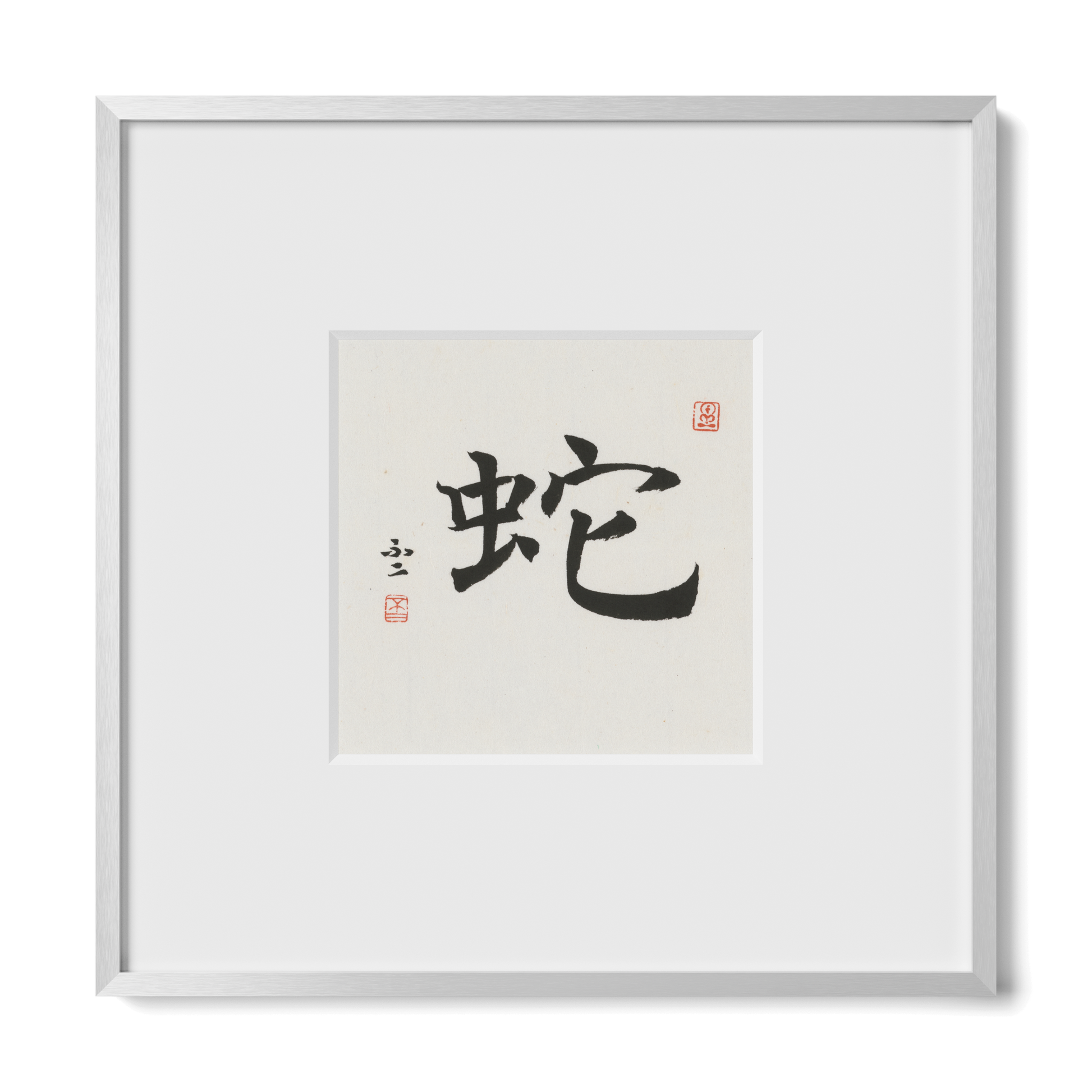 Thumbnail Label: 10X10" Silver Premium Metal | Gallery Source: Transparent