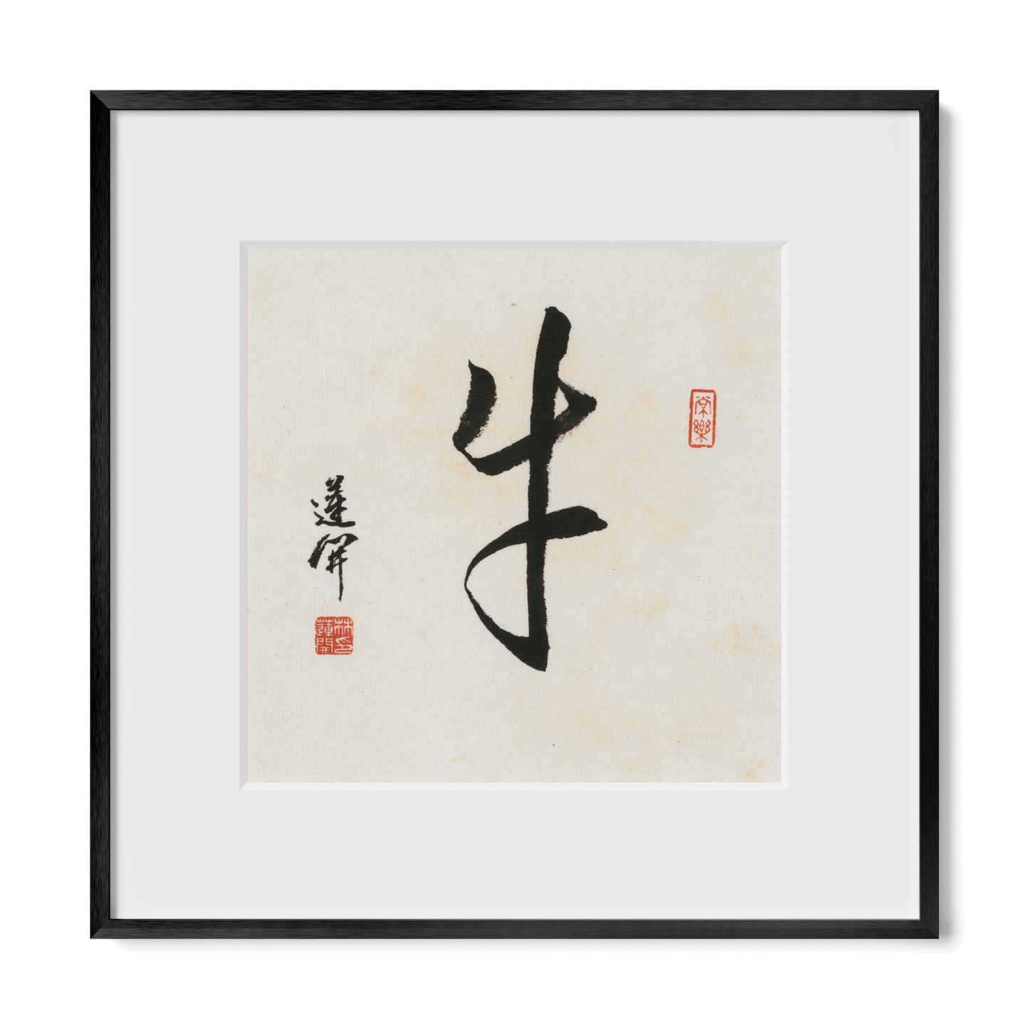 Thumbnail Label: 12X12" Black Premium Metal | Gallery Source: Transparent