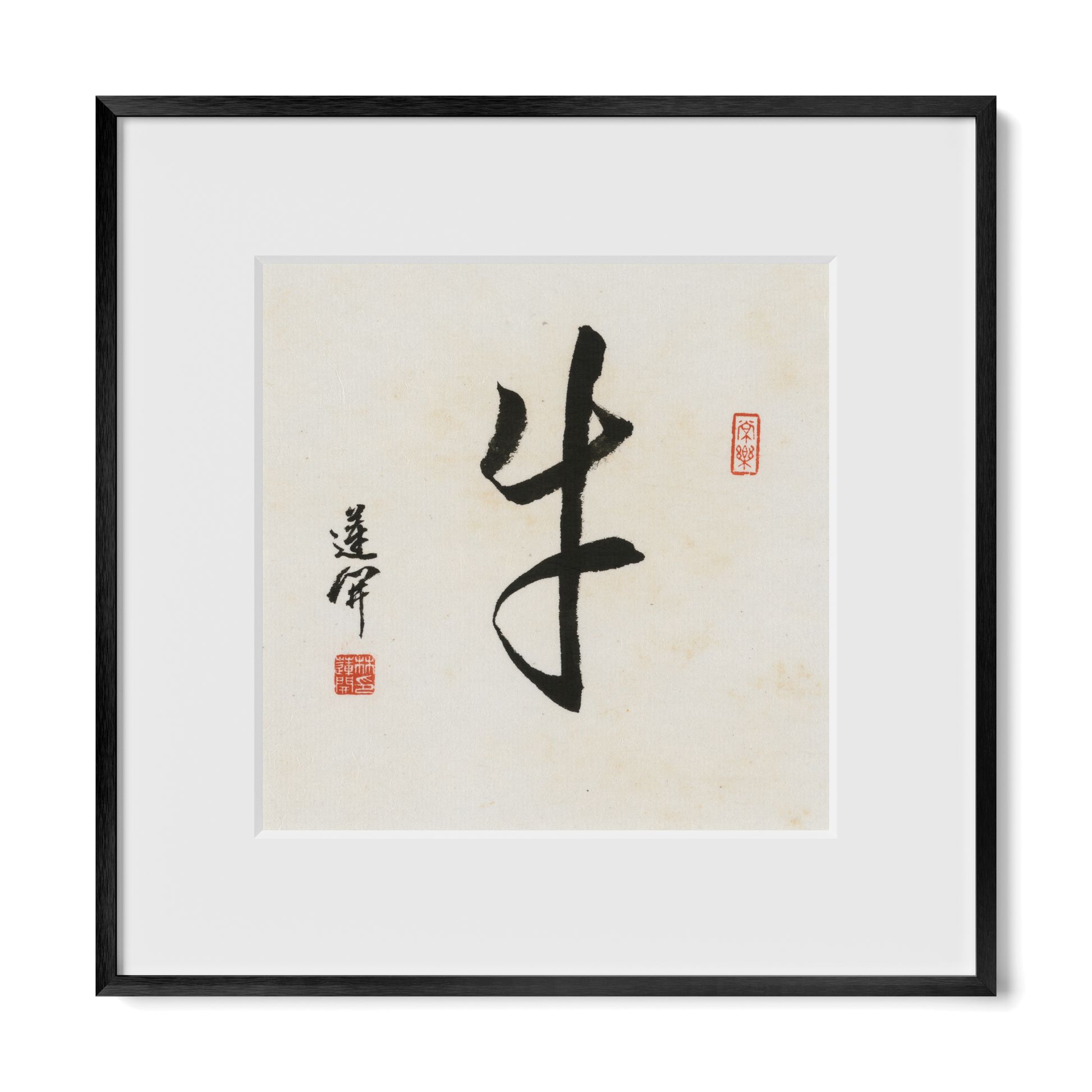 Thumbnail Label: 12X12" Black Premium Metal | Gallery Source: Transparent