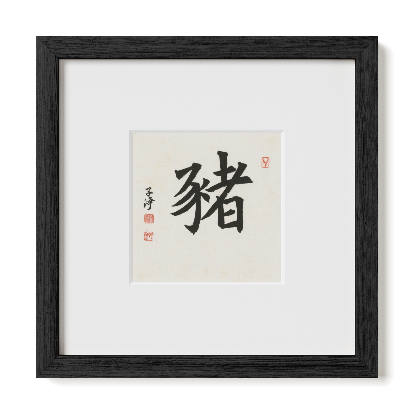 Thumbnail Label: 10X10" Black Premium Oak | Gallery Source: Transparent