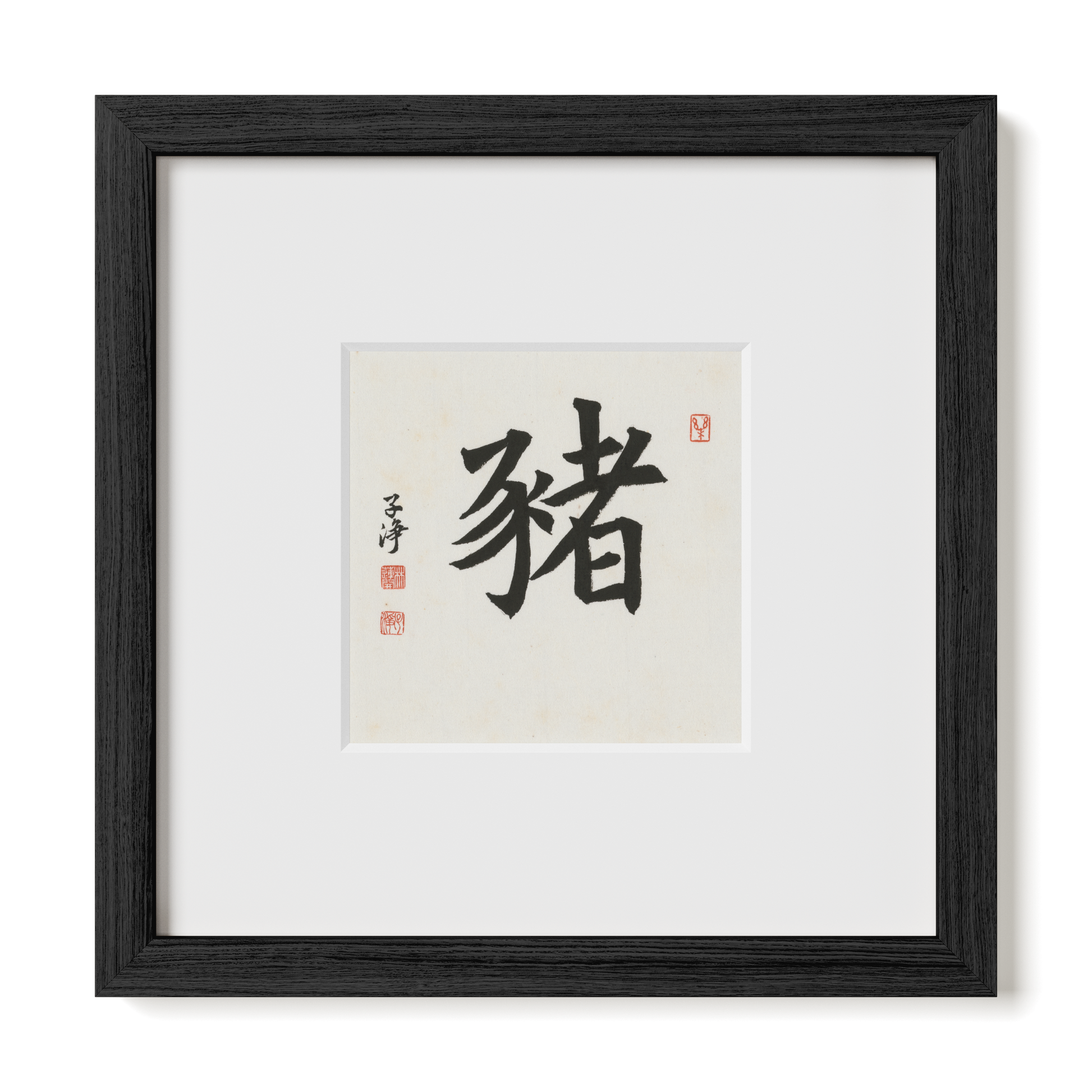 Thumbnail Label: 10X10" Black Premium Oak | Gallery Source: Transparent