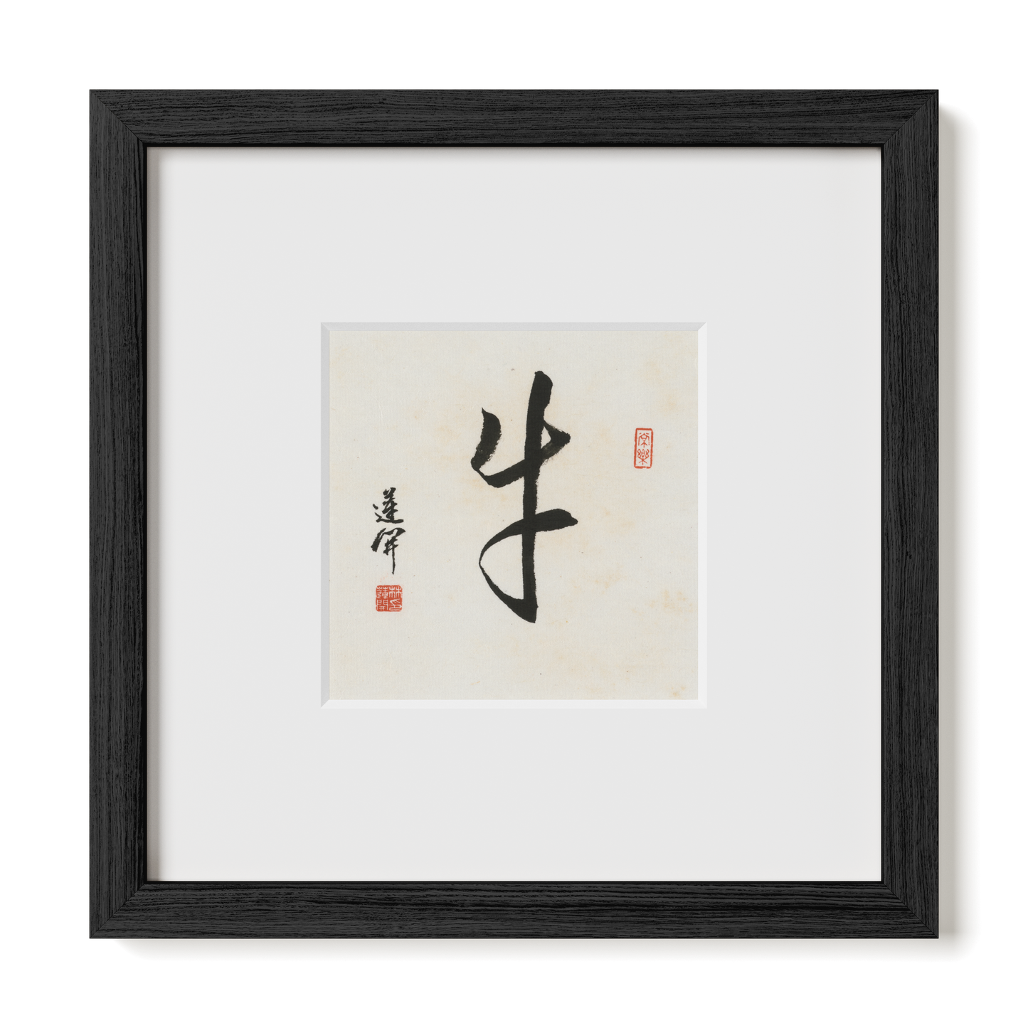 Thumbnail Label: 10X10" Black Premium Oak | Gallery Source: Transparent