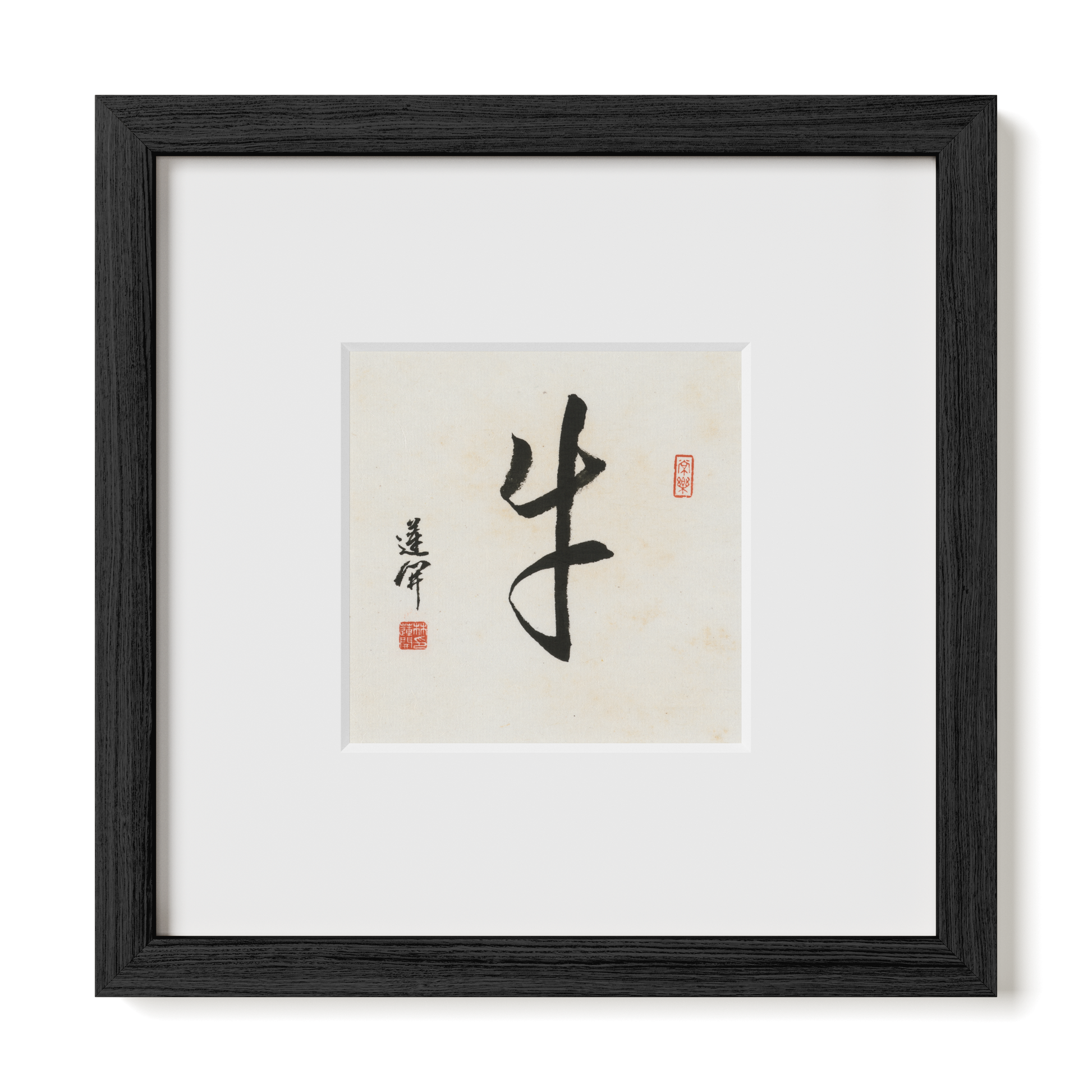 Thumbnail Label: 10X10" Black Premium Oak | Gallery Source: Transparent