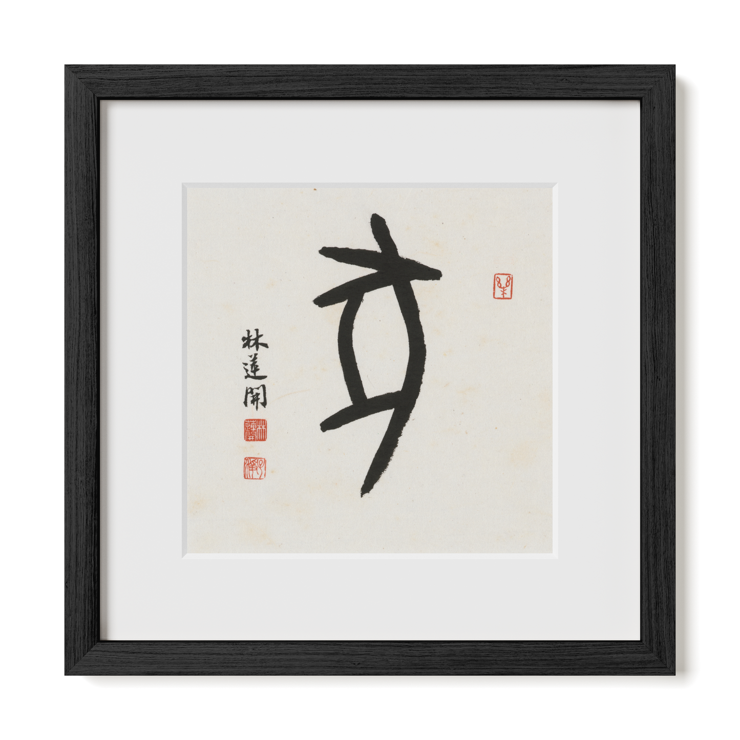 Thumbnail Label: 12X12" Black Premium Oak | Gallery Source: Transparent
