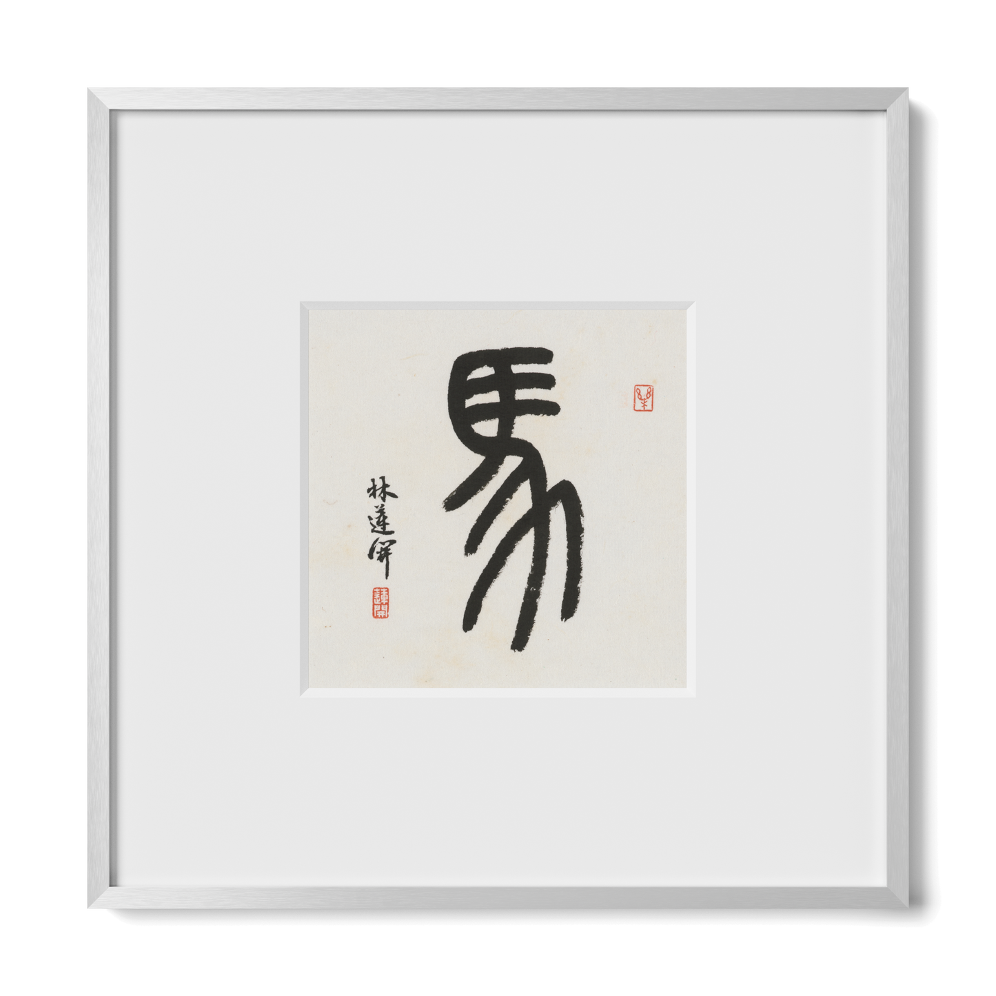 Thumbnail Label: 10X10" Silver Premium Metal | Gallery Source: Transparent