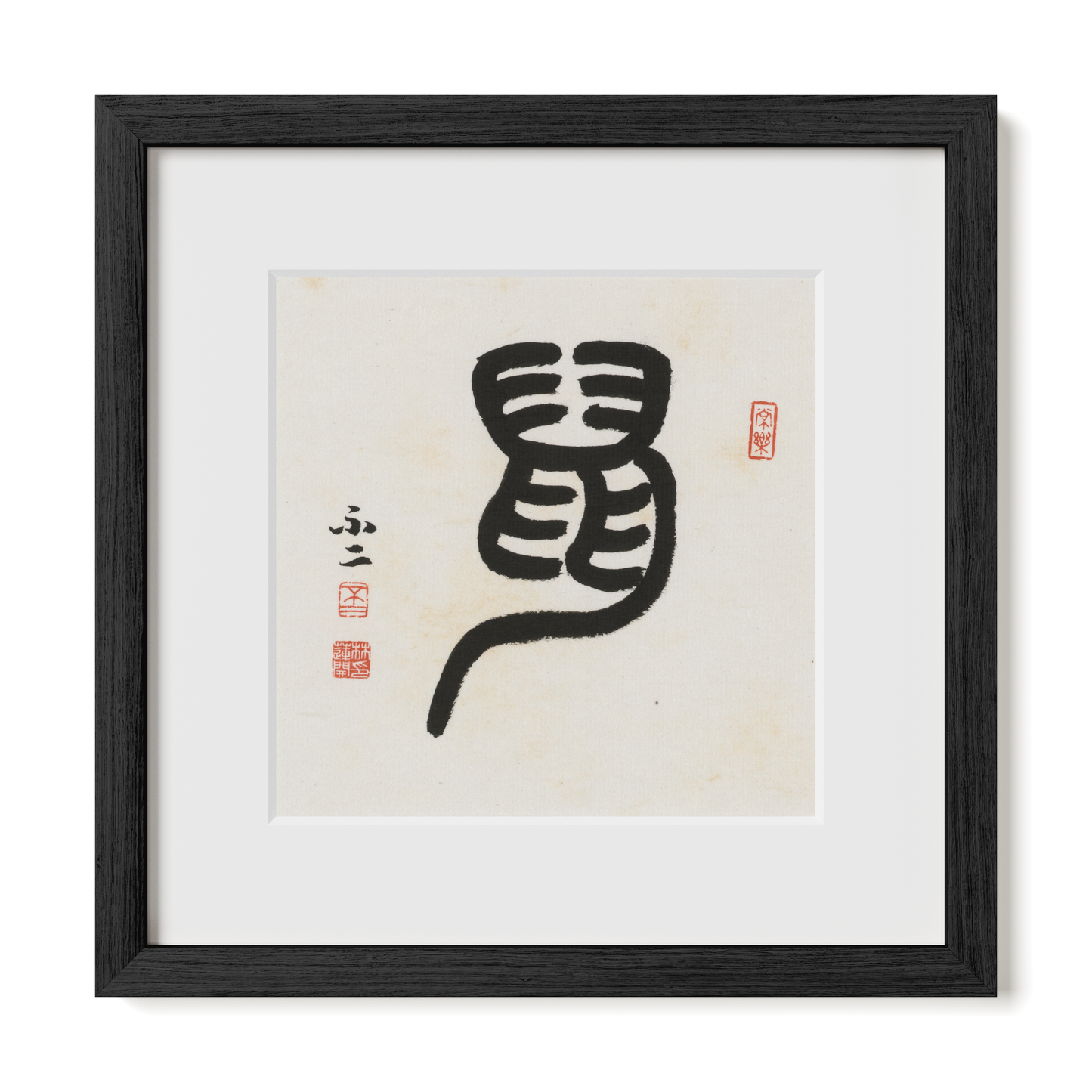 Thumbnail Label: 12X12" Black Premium Oak