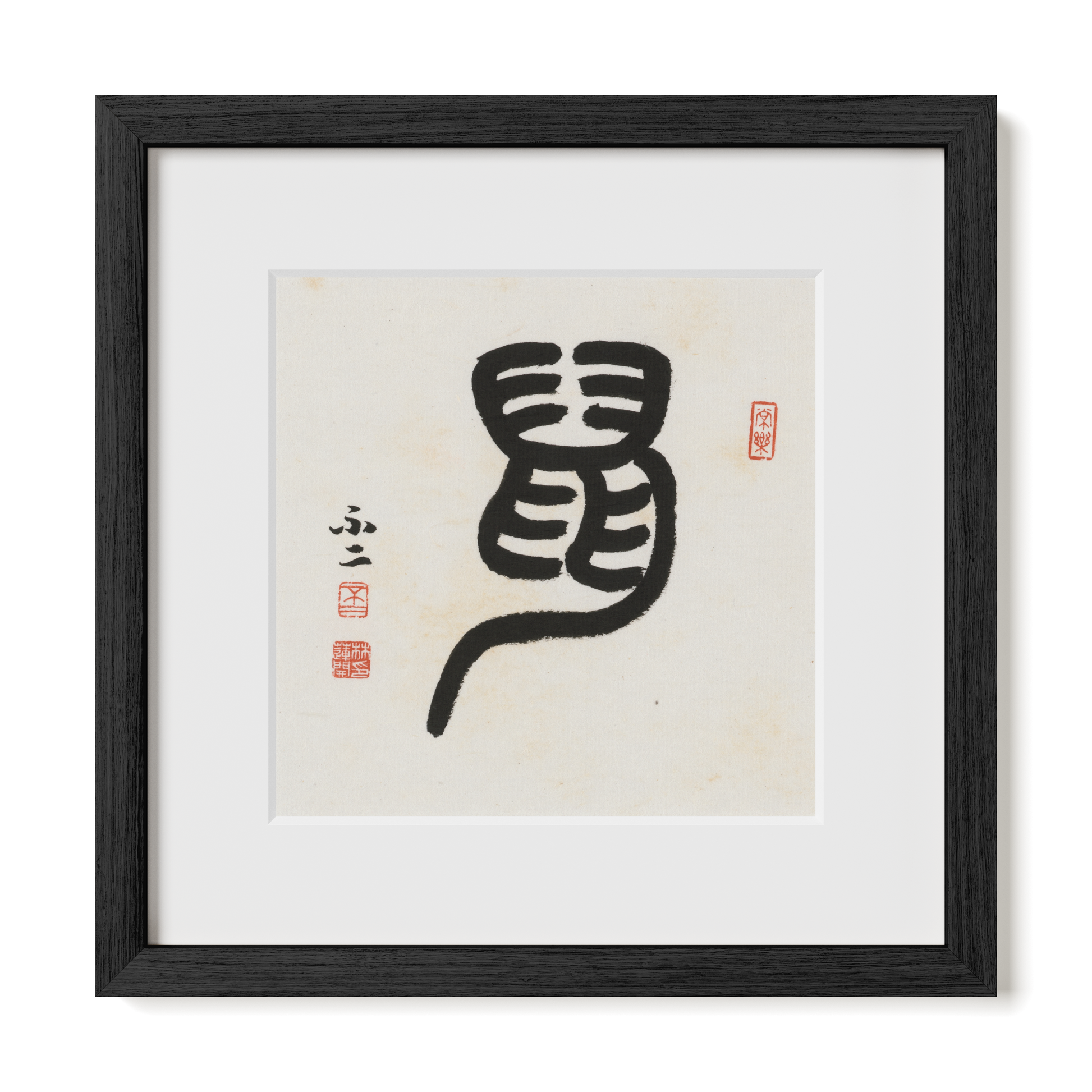 Thumbnail Label: 12X12" Black Premium Oak