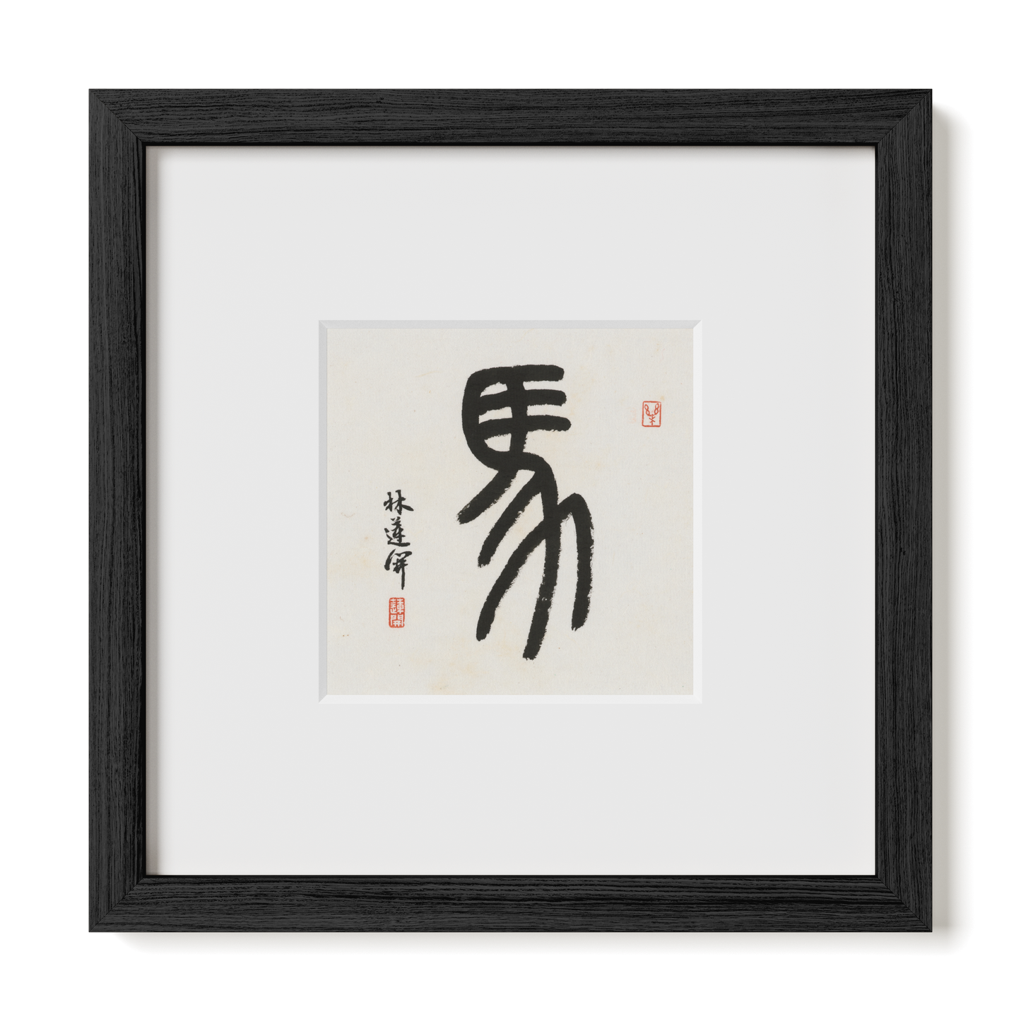 Thumbnail Label: 10X10" Black Premium Oak | Gallery Source: Transparent
