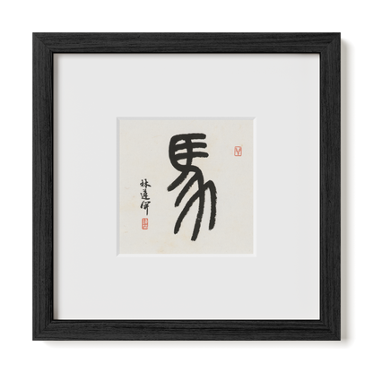 Thumbnail Label: 10X10" Black Premium Oak | Gallery Source: Transparent